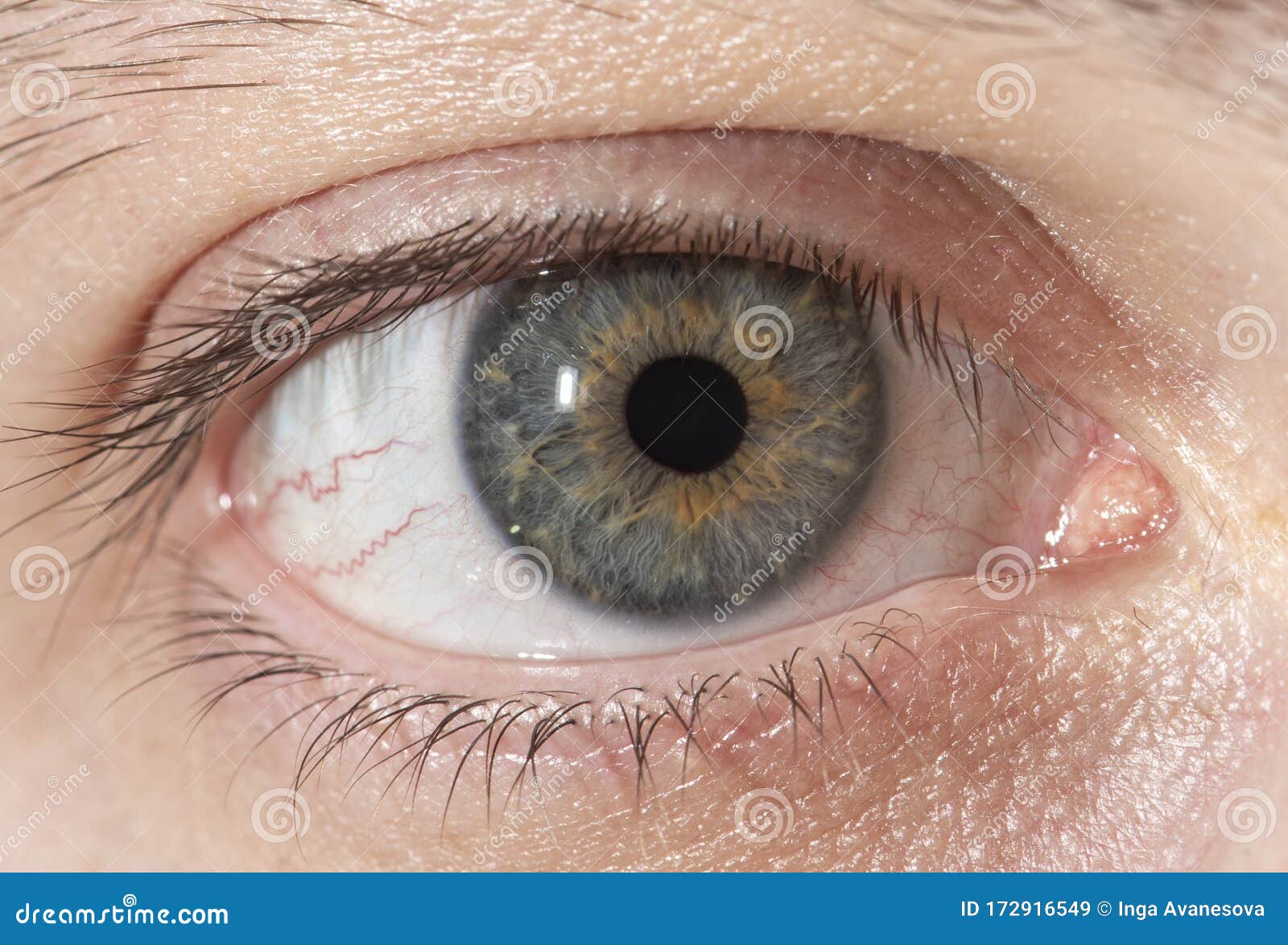 human eye close up