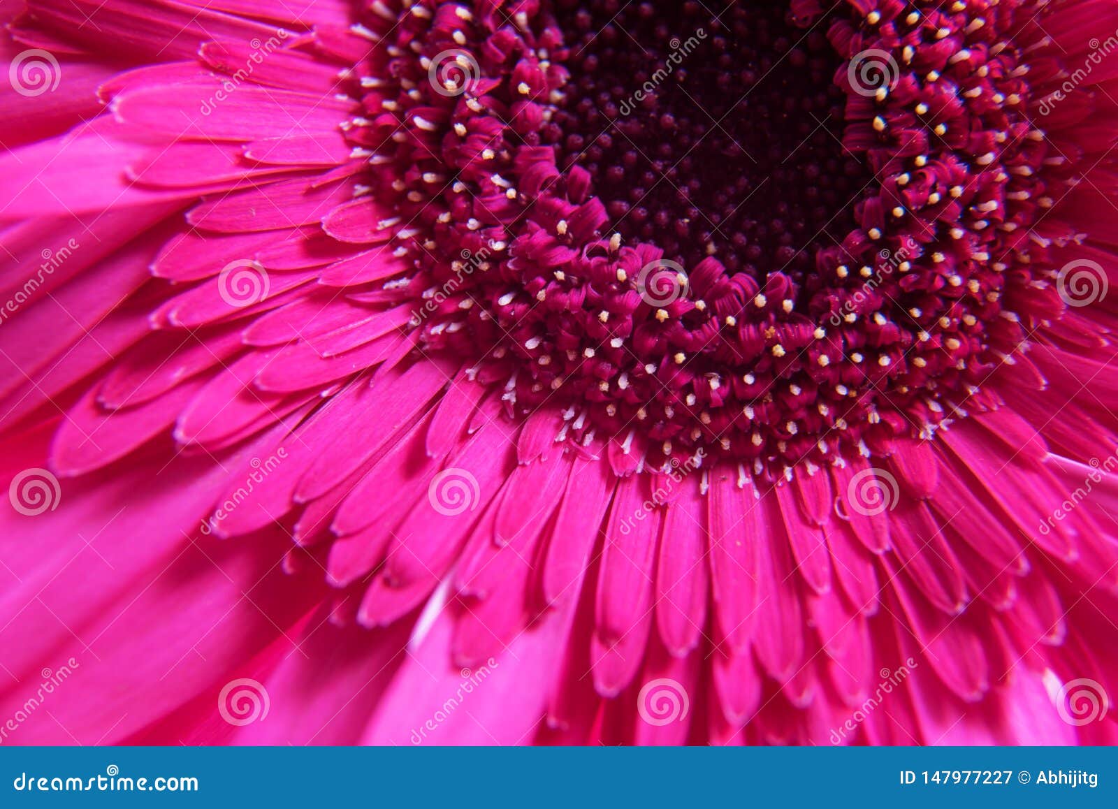 26241 Pink Flower 3d Wallpaper Images Stock Photos  Vectors   Shutterstock
