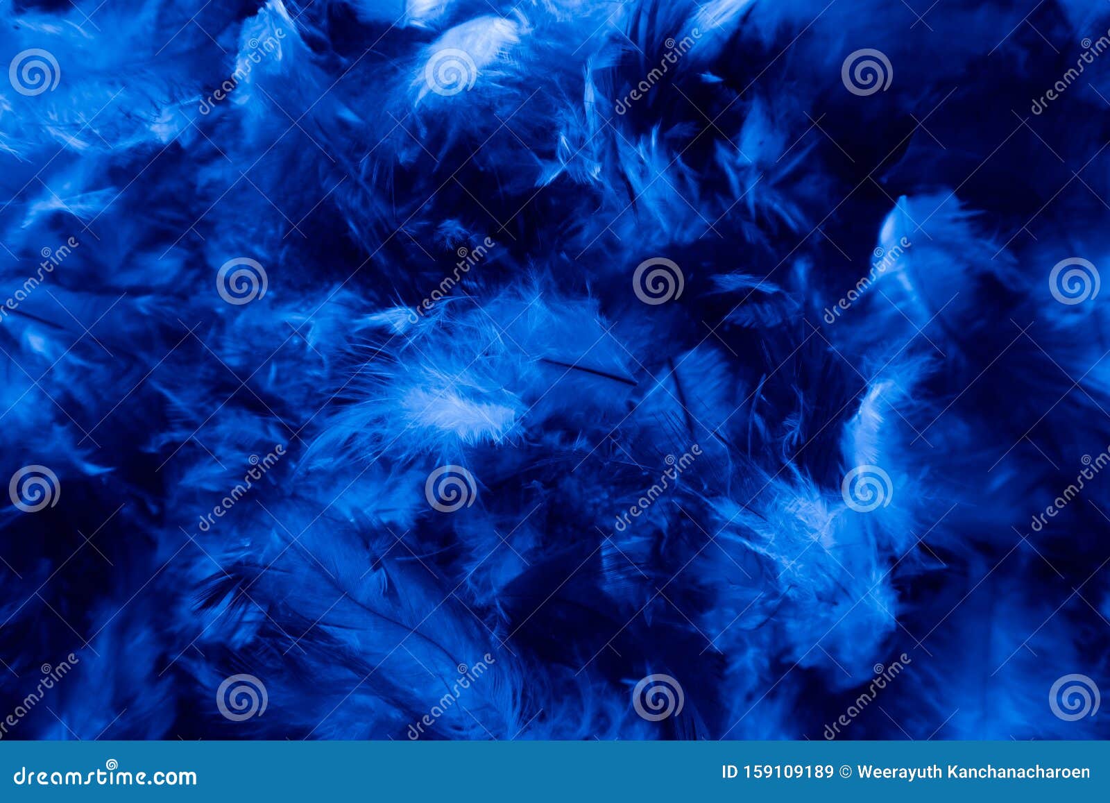 315059 Feather Wallpaper Images Stock Photos  Vectors  Shutterstock
