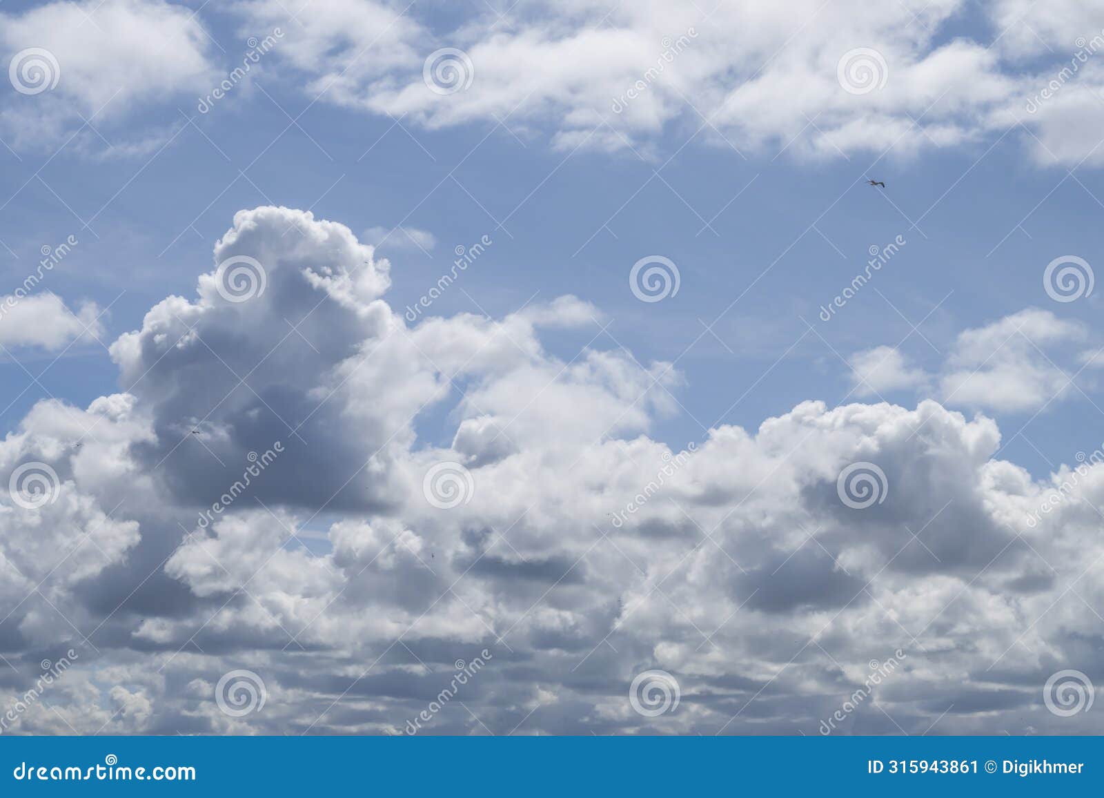 beautiful cloudscape blue gradient with seagulls and birds