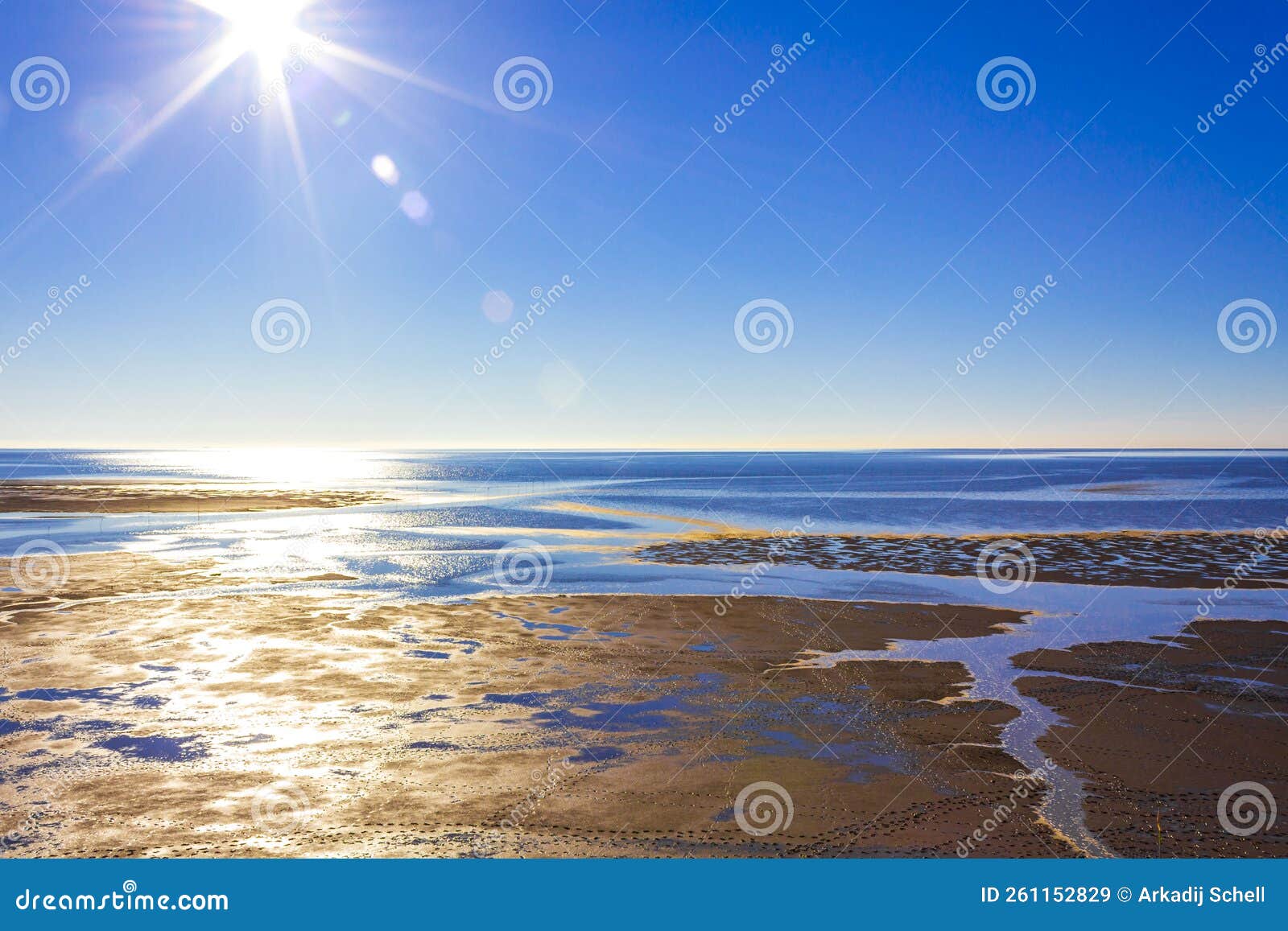 beautiful coast mudflats and wadden sea seascape landscape dorum germany