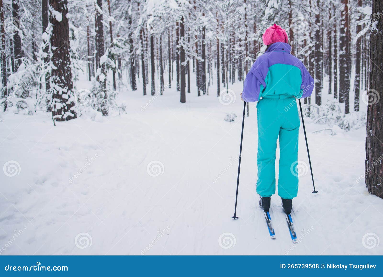 Beautiful Cold Forest View of Ski Run Track on Ski Resort, Winter Day ...