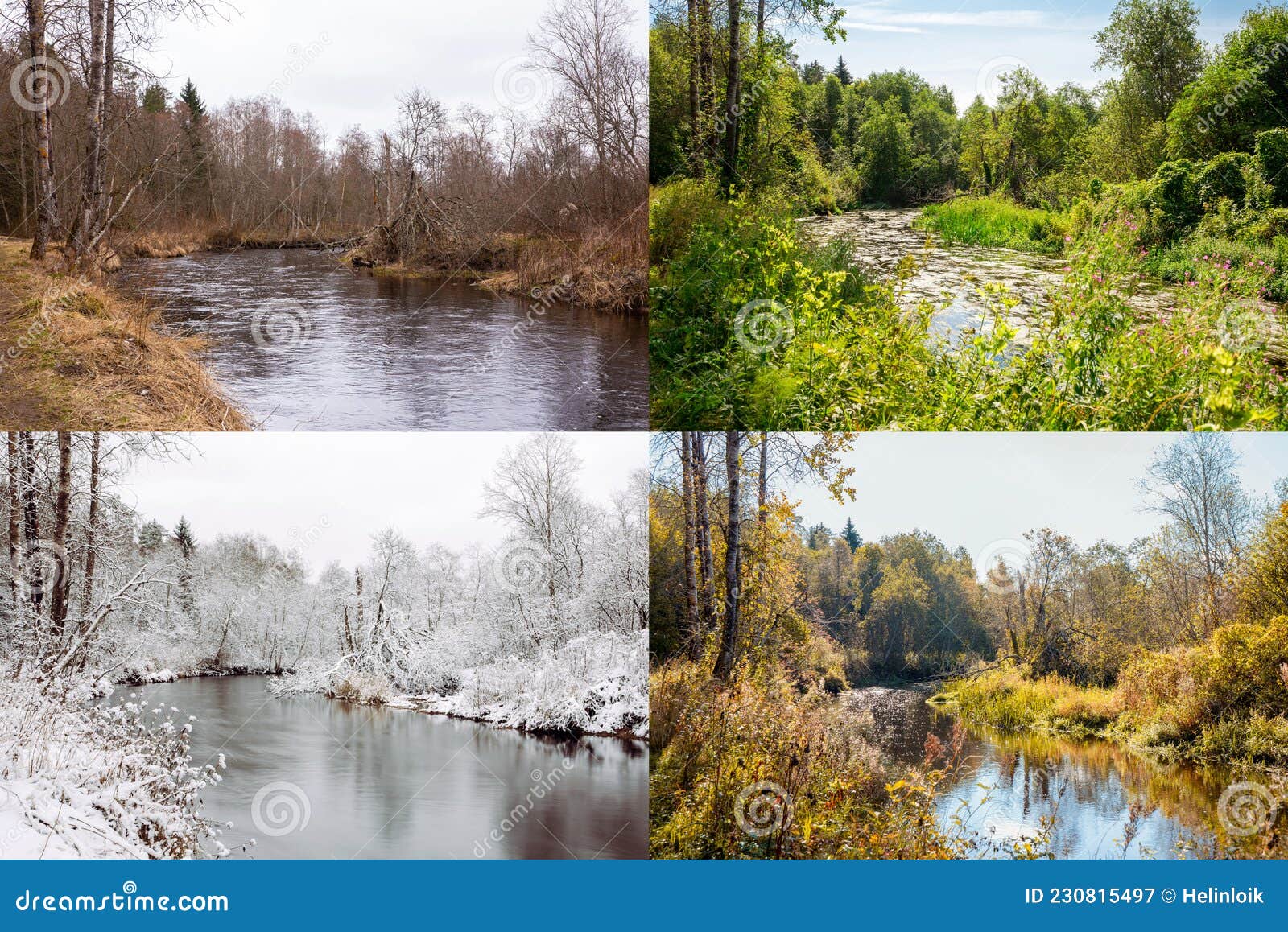 beautiful collage of 4 seasons, different pictures but same place of an river in wilderness. spring foliage, green fresh bright su