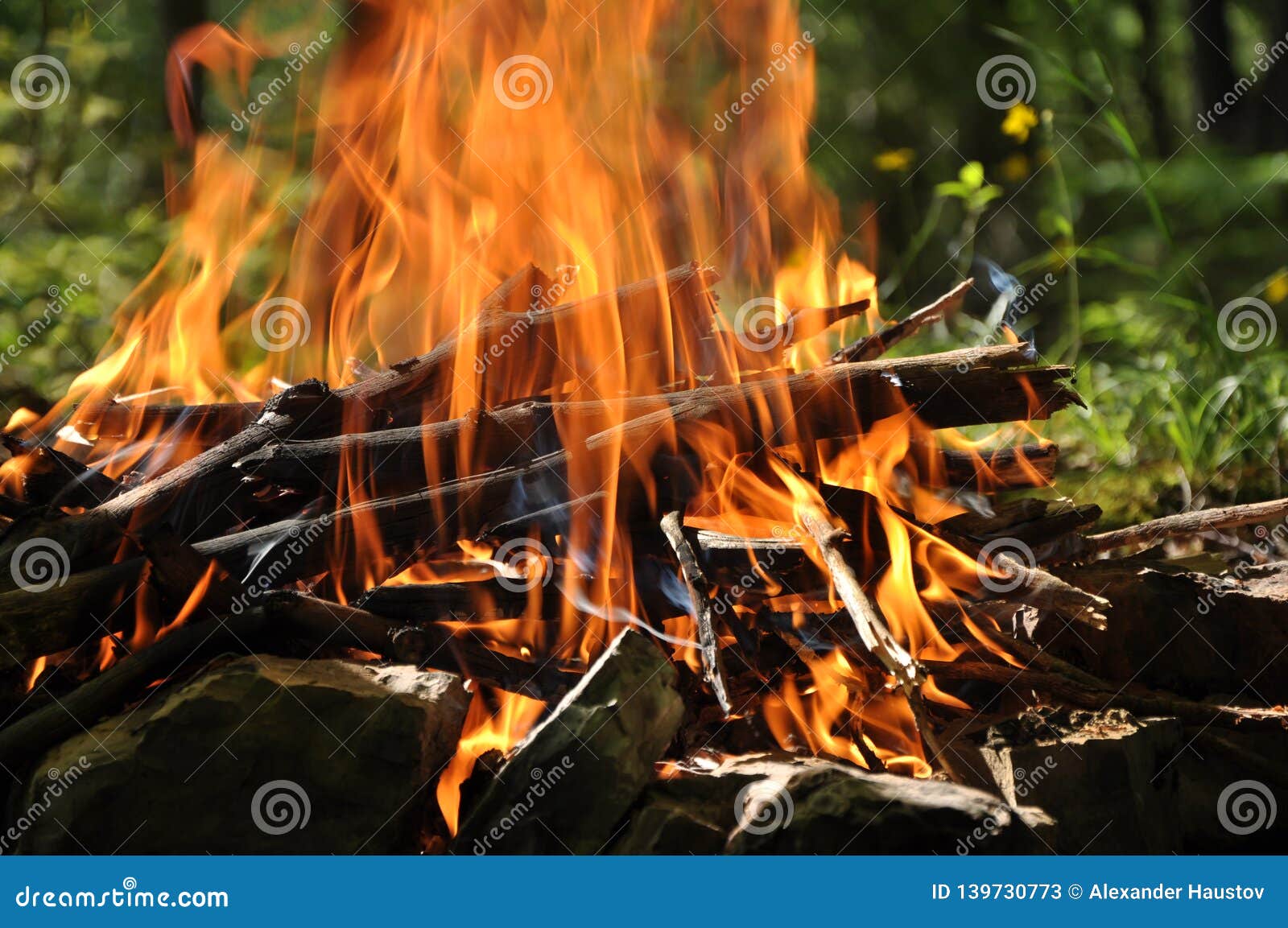 Beautiful Color of Burning Red Coals and Black Charred Wood Stock Image ...