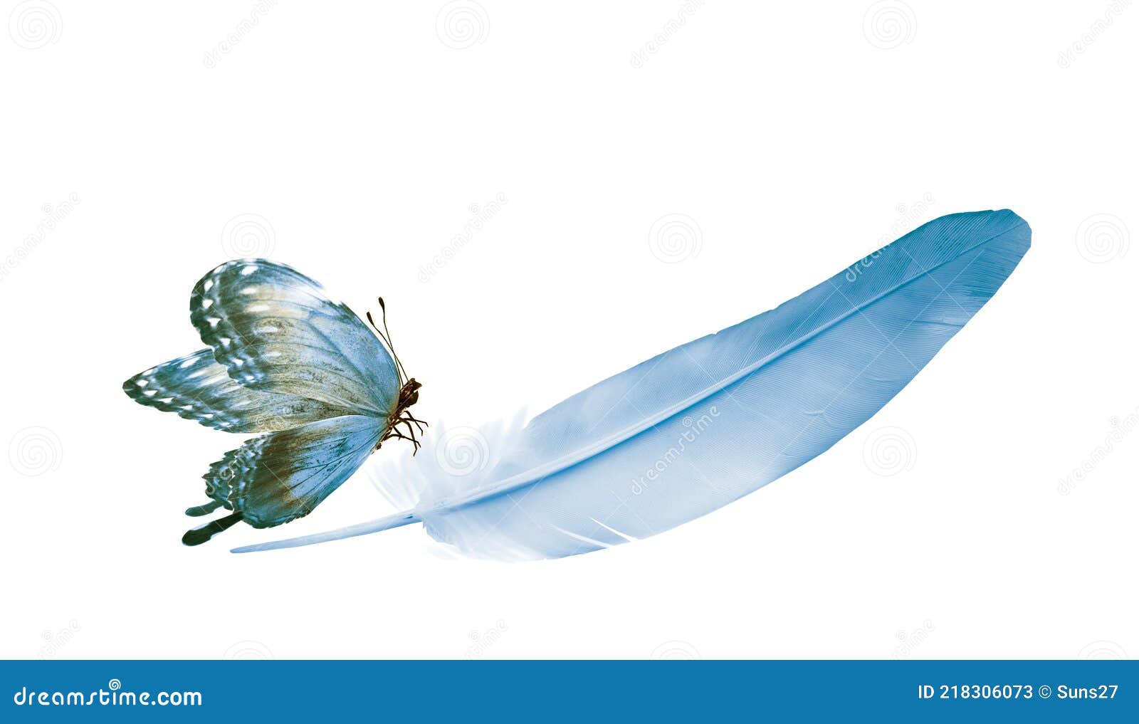 Beautiful Color Feather and Butterfly Isolated Stock Illustration