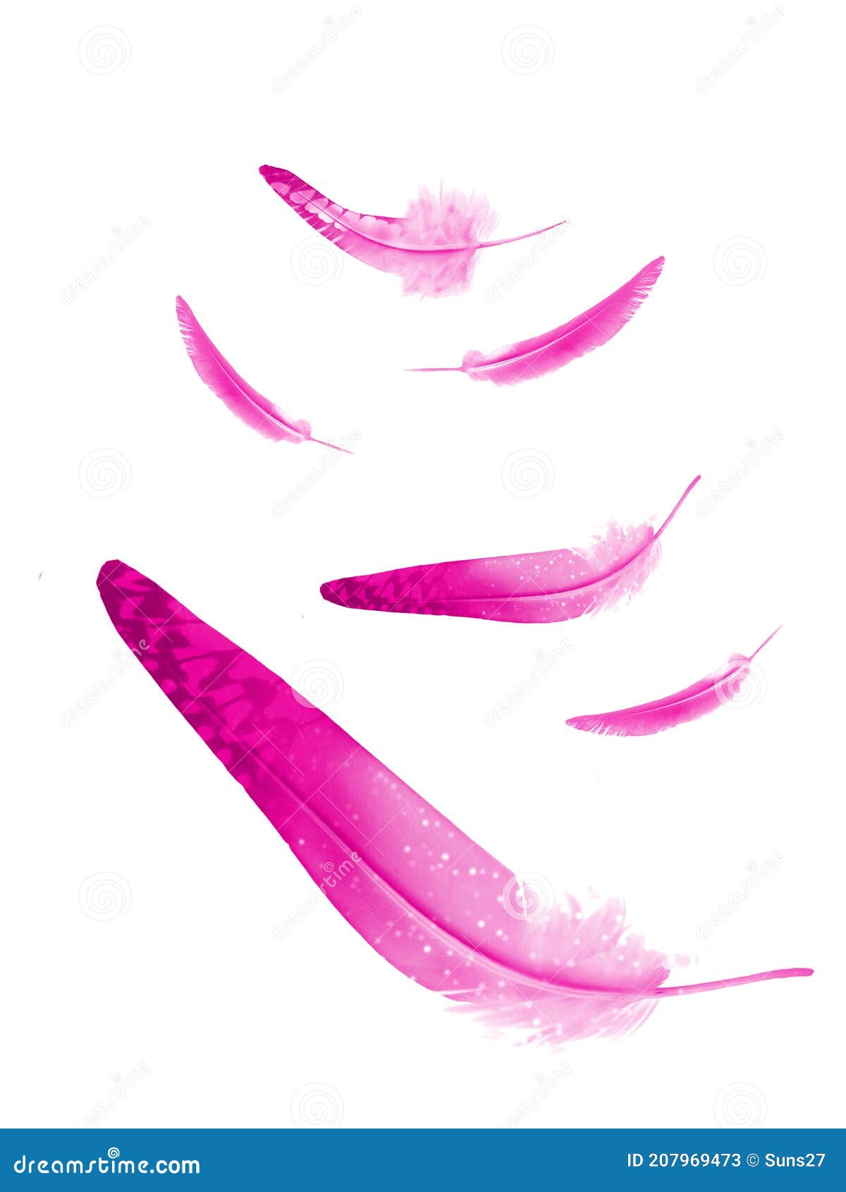 Beautiful Color Feathers Isolated on White Stock Image Image of abstract, dream 207969473