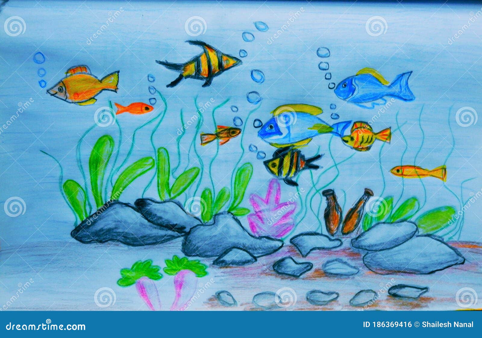 Underwater, Sea Life (vector Set No.2) - Hand Drawn Stock Vector -  Illustration of predators, marine: 41160151