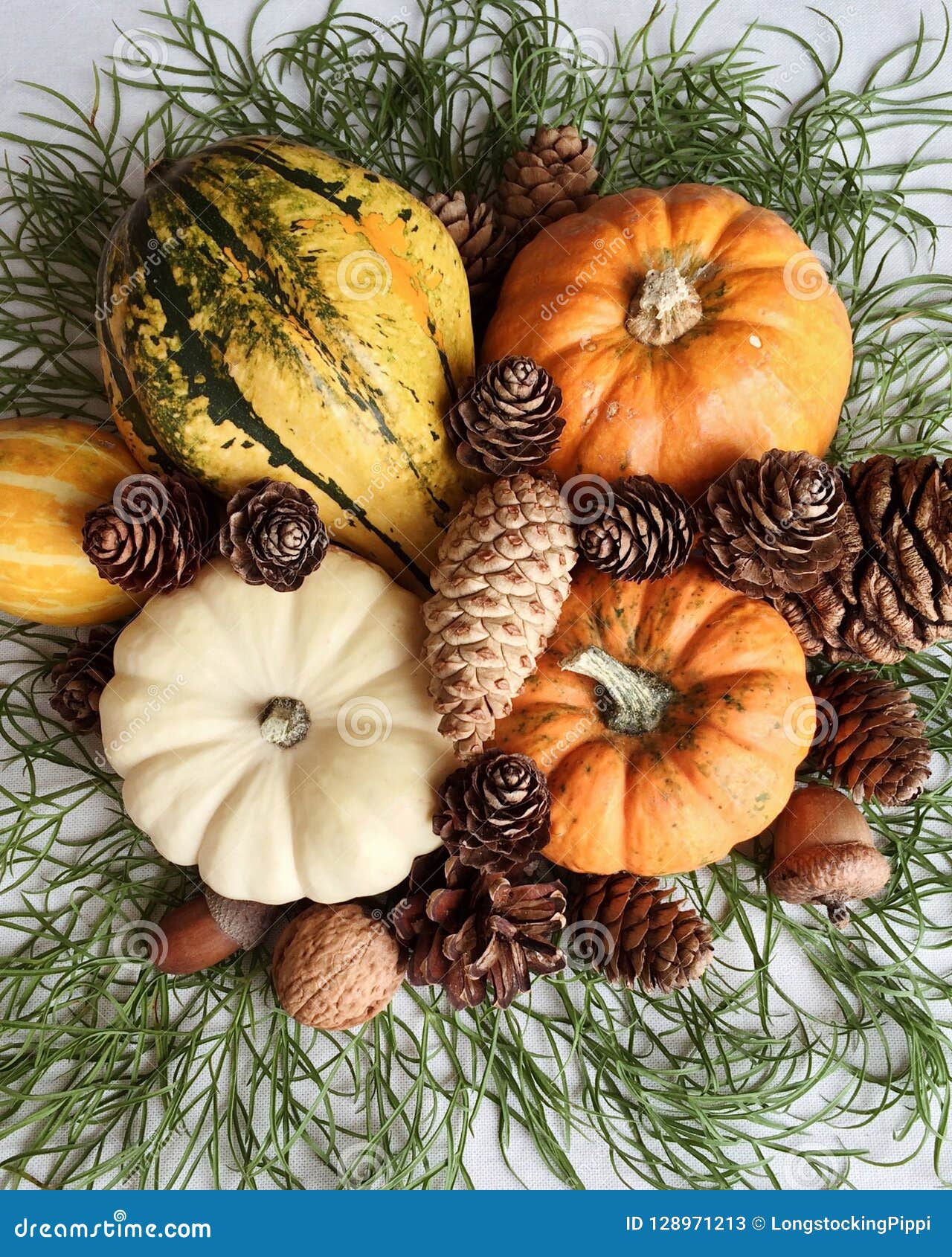 Autumn Still Life with Pumpkins and Pine Cones Stock Image - Image of