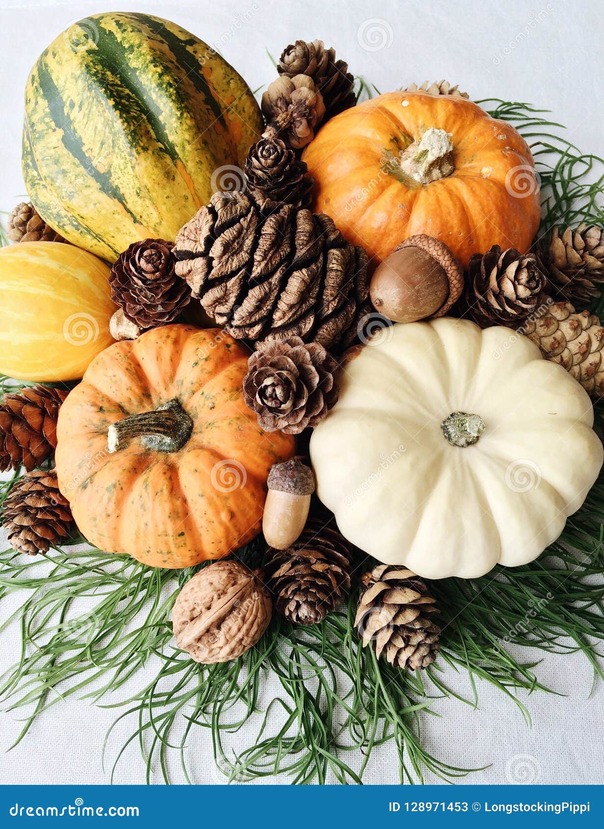 Autumn Still Life with Pumpkins and Pine Cones Stock Image - Image of