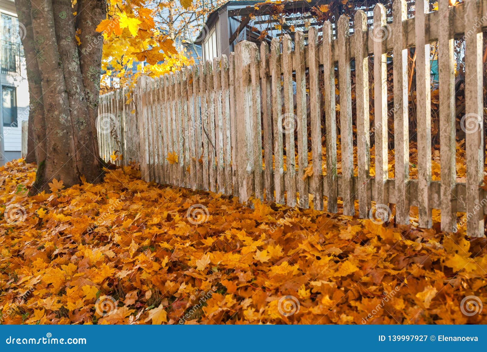 Beautiful Colorful Autumn Scene with White Old Fence and Fall Colors in  Finland Stock Image - Image of colorful, country: 139997927