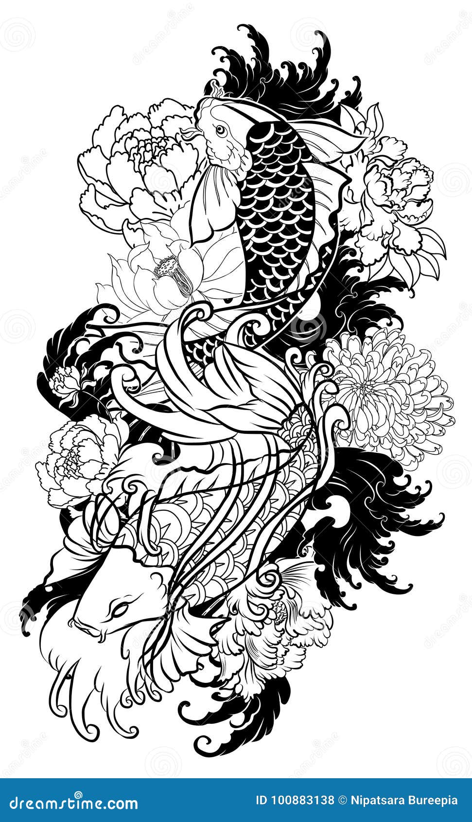 beautiful, colorful koi carp with water splash, lotus and peony flower.