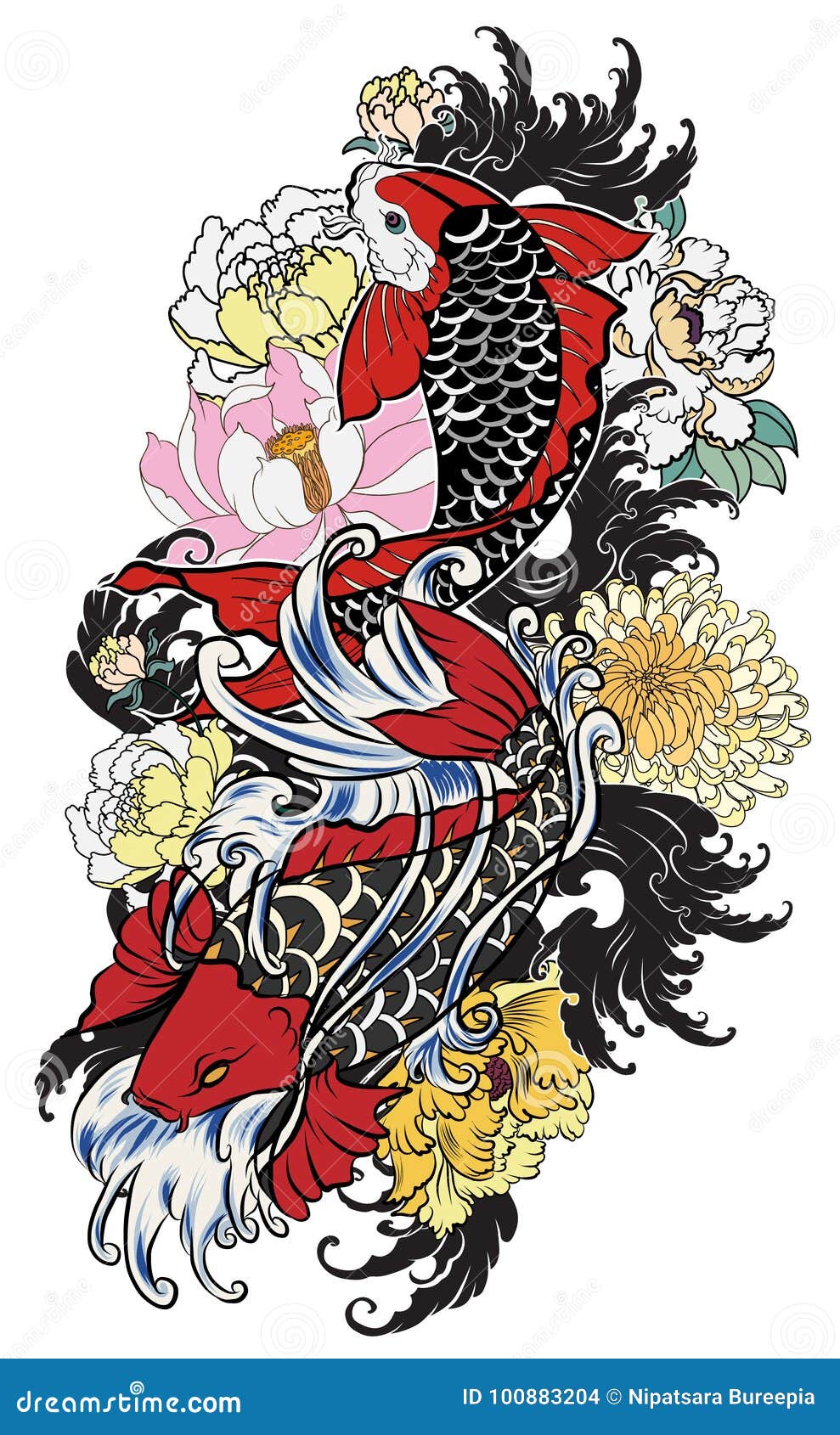 beautiful, colorful koi carp with water splash, lotus and peony flower.