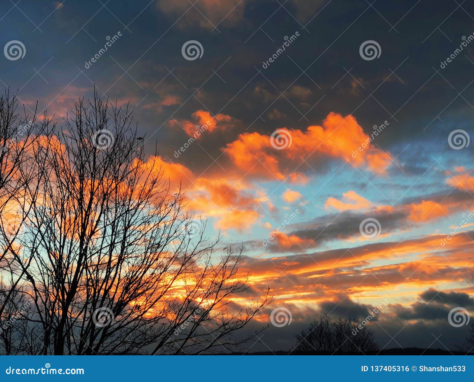 Beautiful and Colorful Sunset with Tree Branches Silhouette Stock Photo