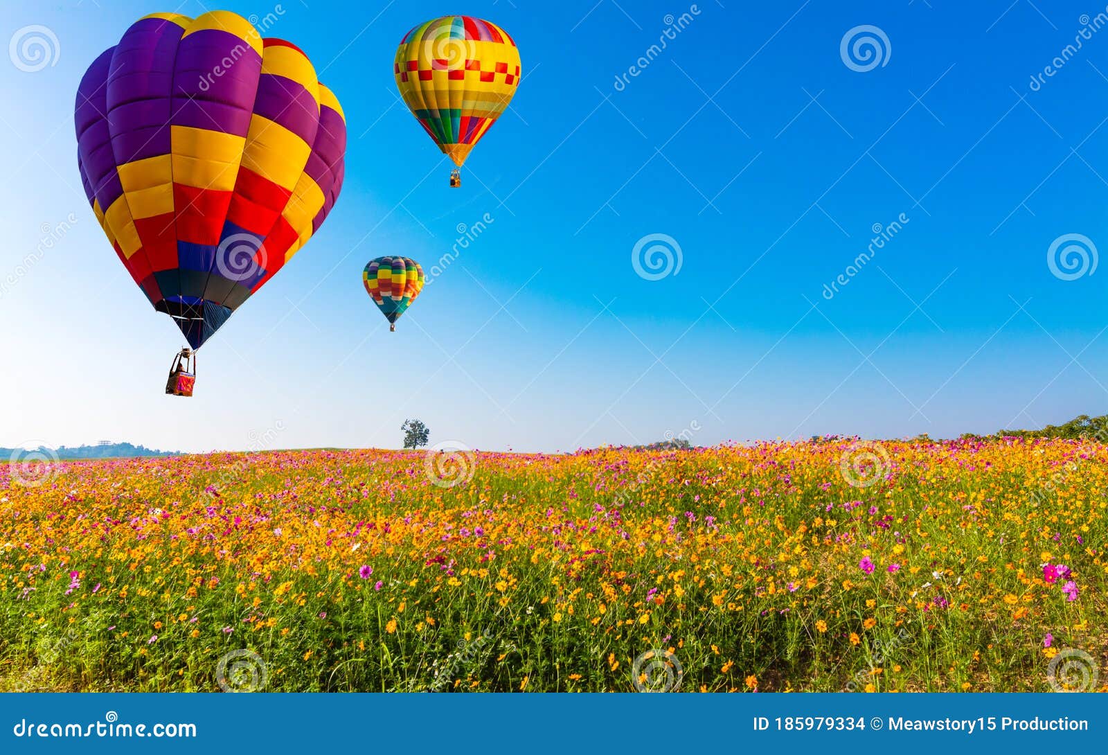 Beautiful Colors of the Hot Air Balloons Flying on the Cosmos Flower ...