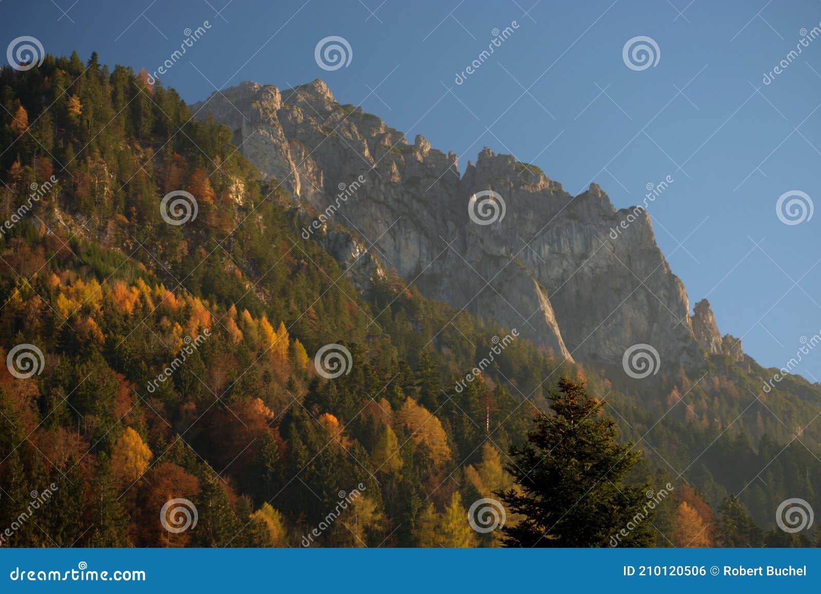 colorful autumn mood in planken in liechtenstein 11.11.2020