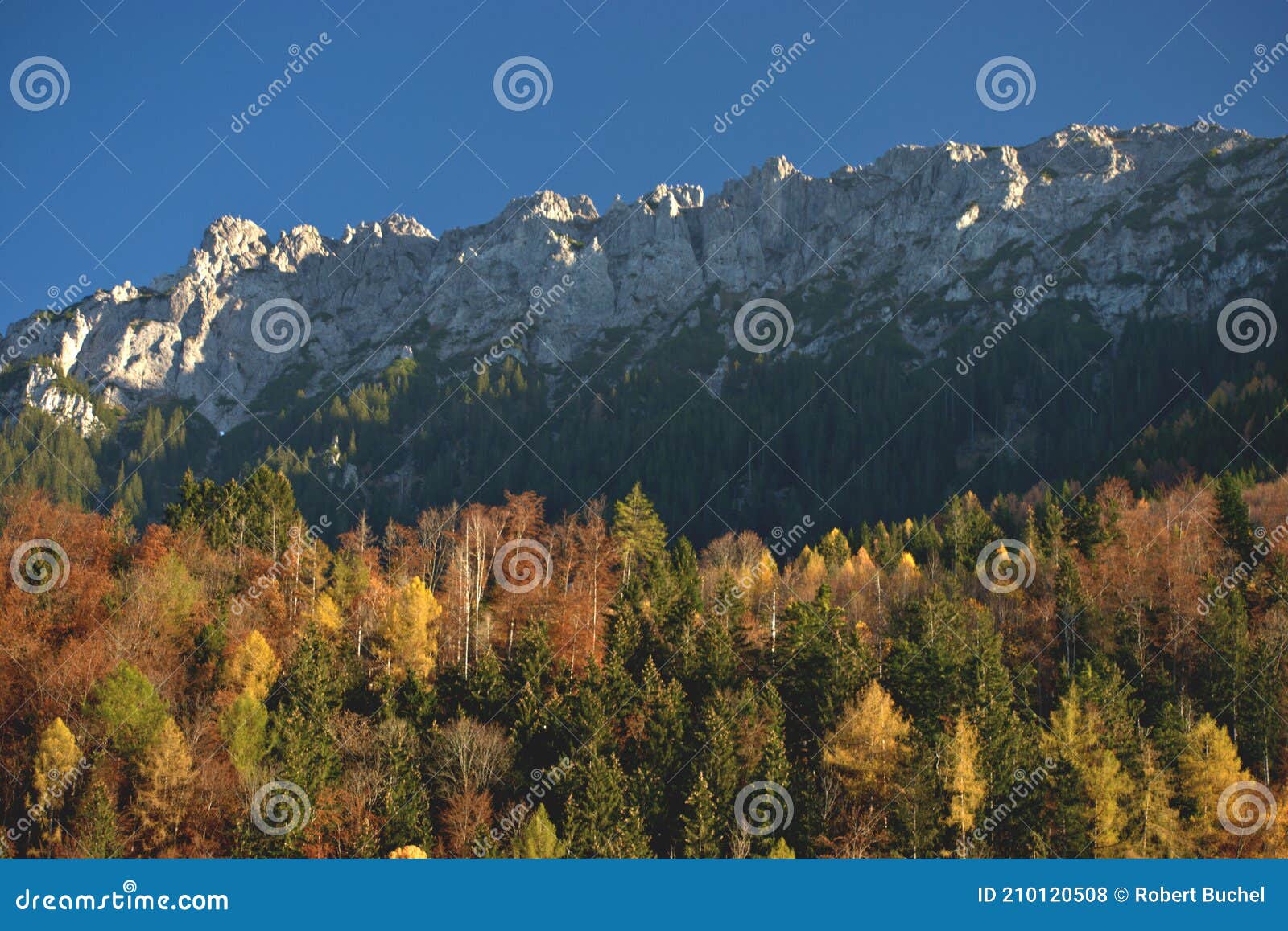 colorful autumn mood in planken in liechtenstein 11.11.2020