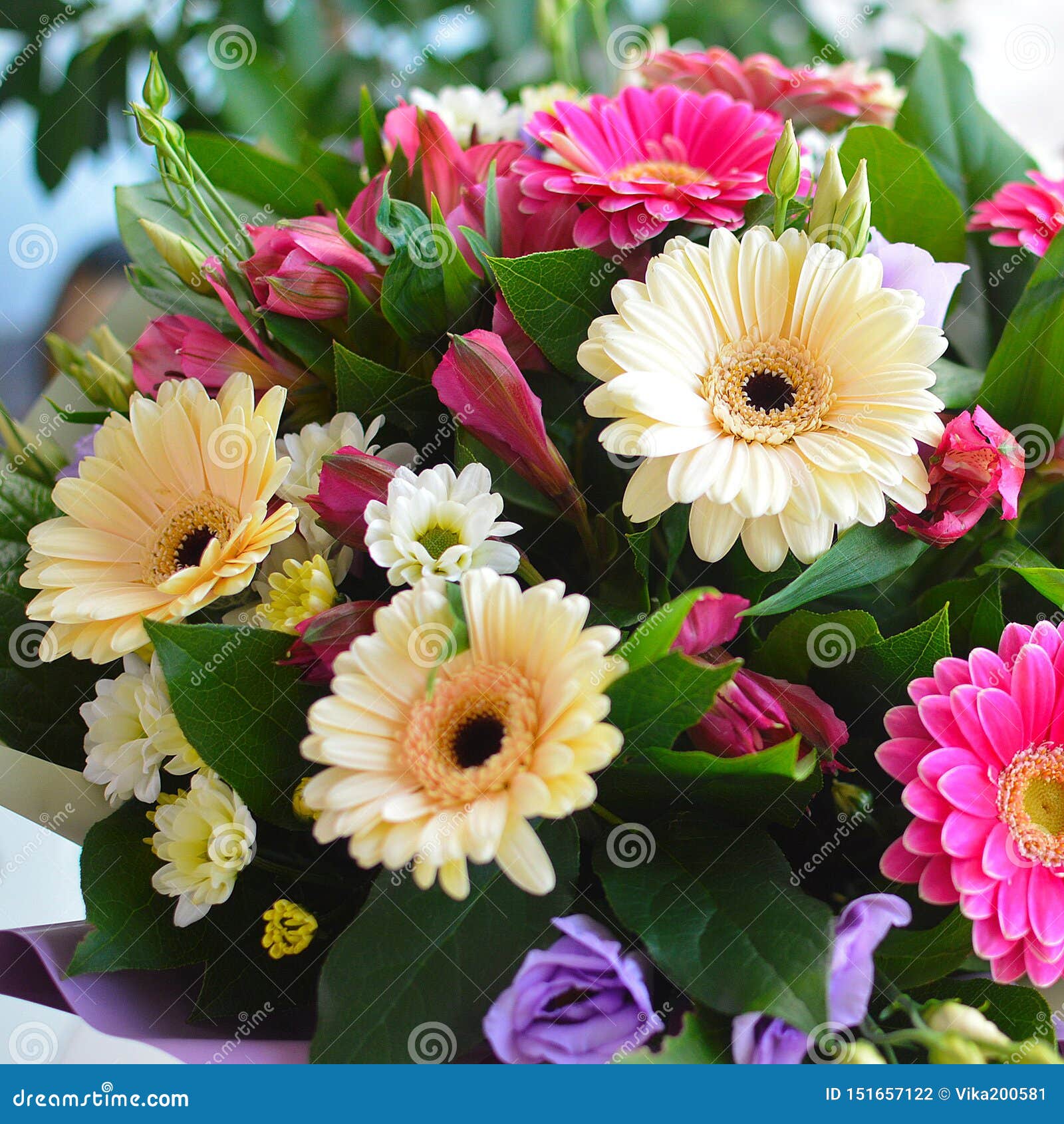 Beautiful Colorful Bouquet with Gerberas Stock Photo - Image of floral ...