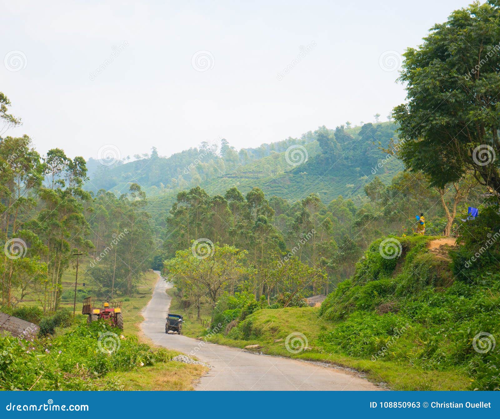 The Countryside of Munnar, Kerala, India Stock Image Image of growth