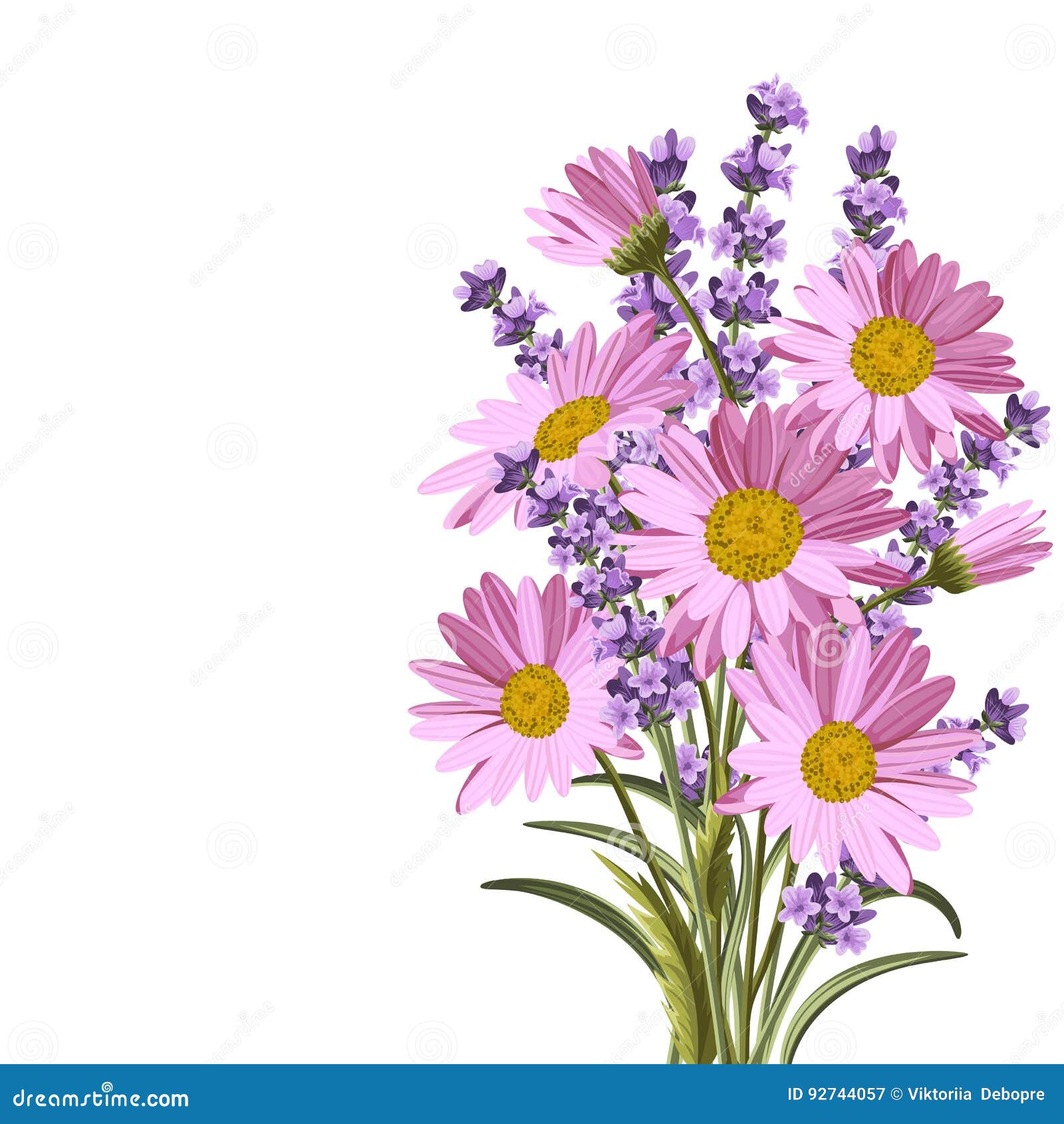 Beautiful Daisies and Lavender Flowers Stock Vector Illustration of