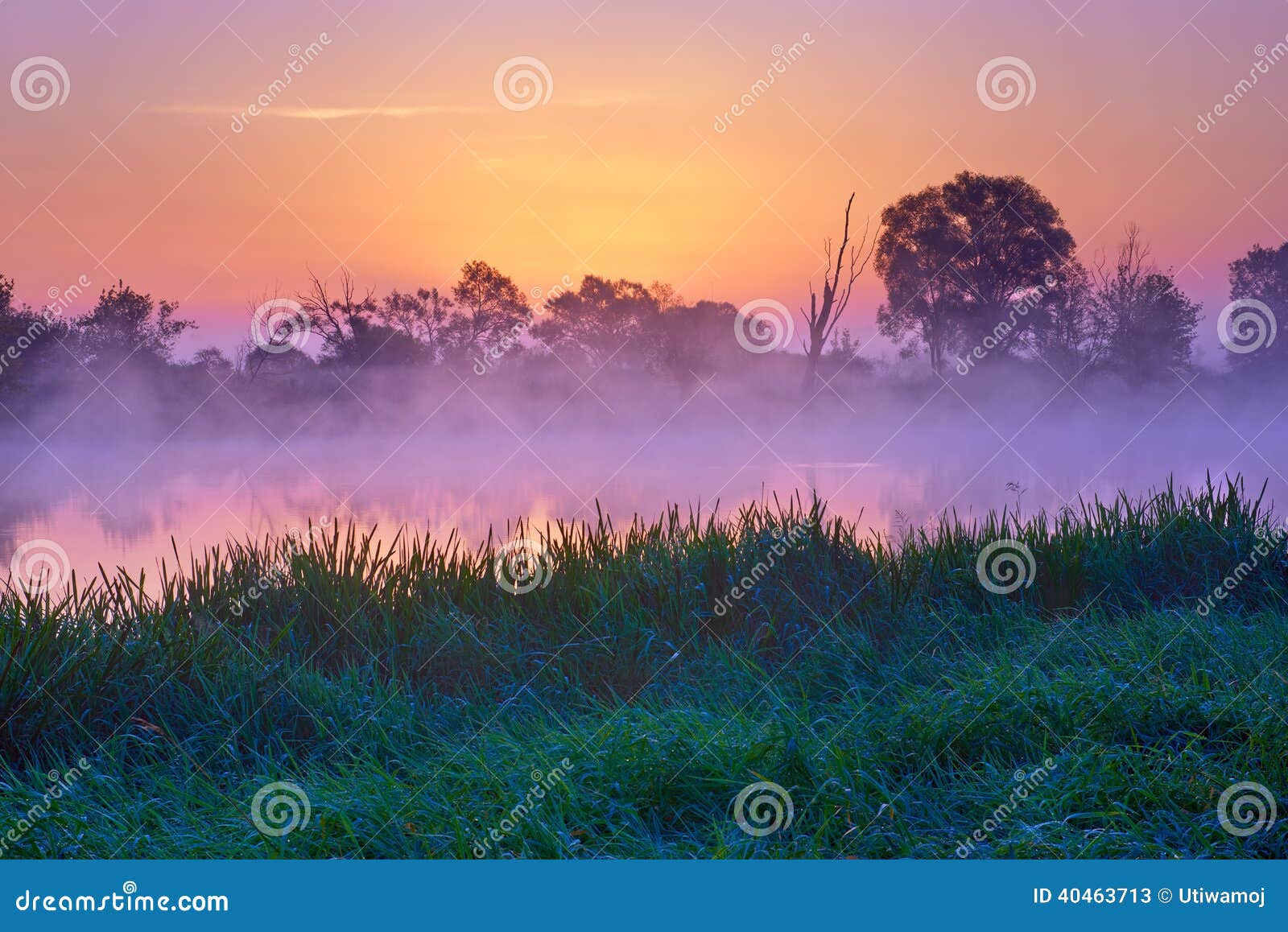 beautiful dawn narew river poland nature landscape