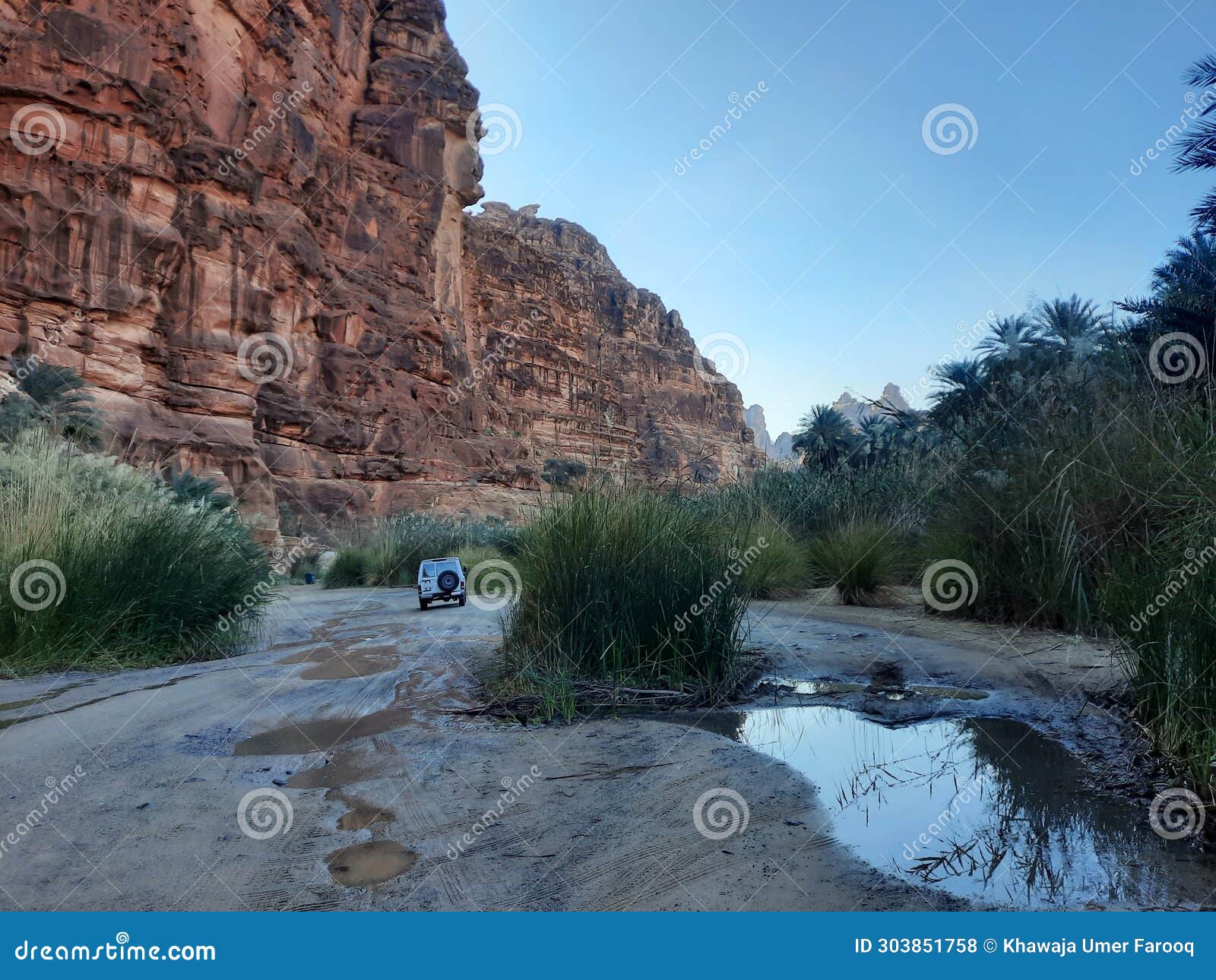 beautiful daytime view of wadi al disah in tabuk, saudi arabia.