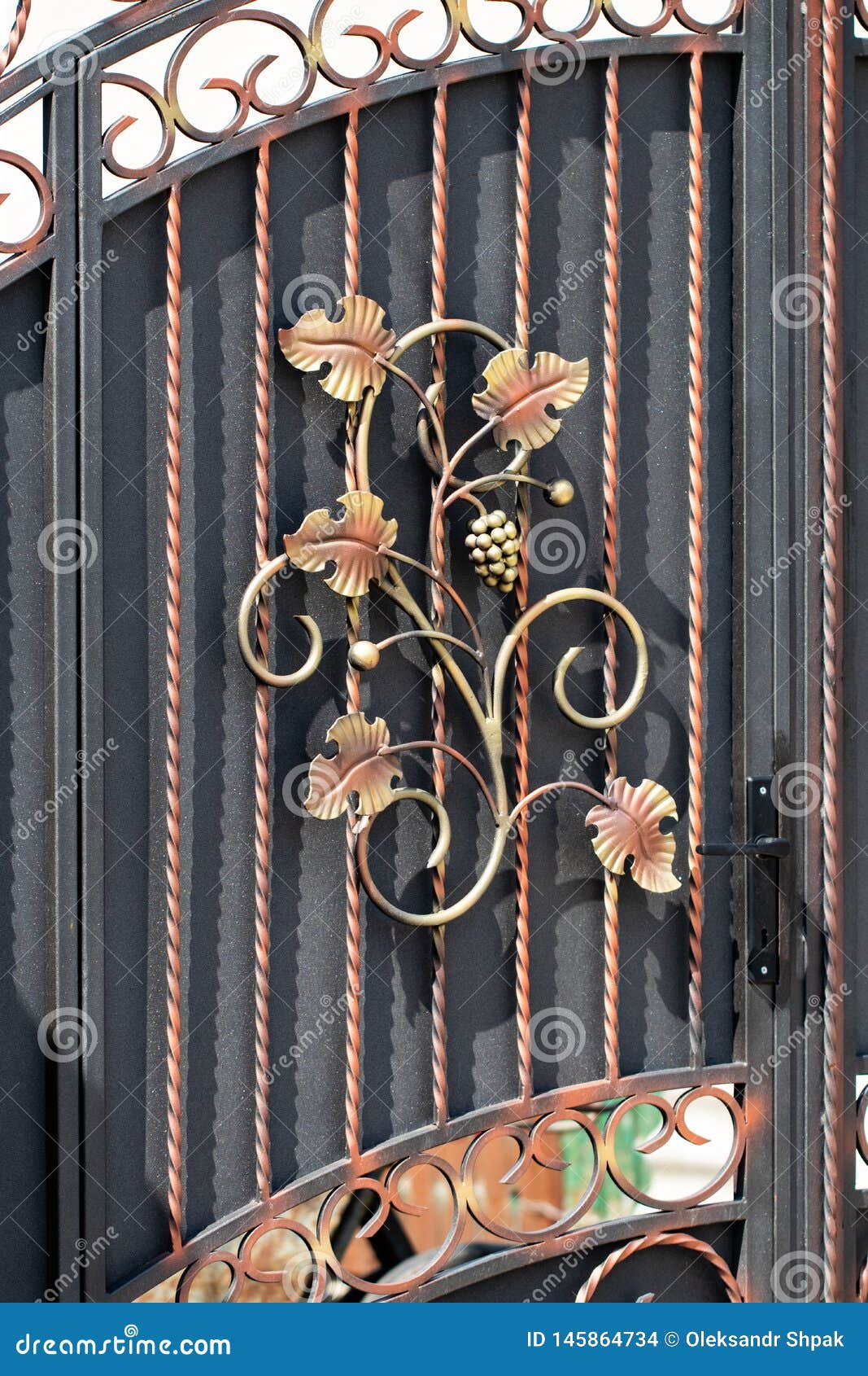 Beautiful Decorative Metal Elements Wrought Iron Gates Stock Photo Image of design