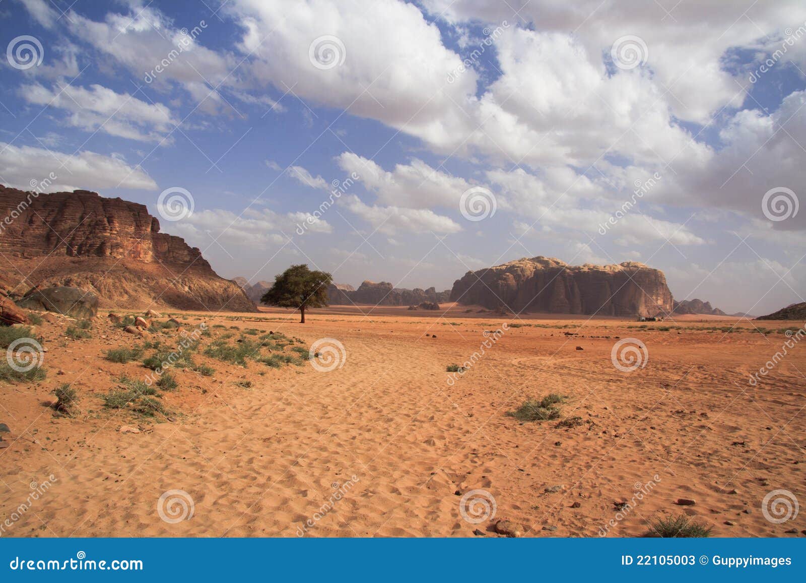 Beautiful Desert Landscape with Solitary Tree Stock Image Image of