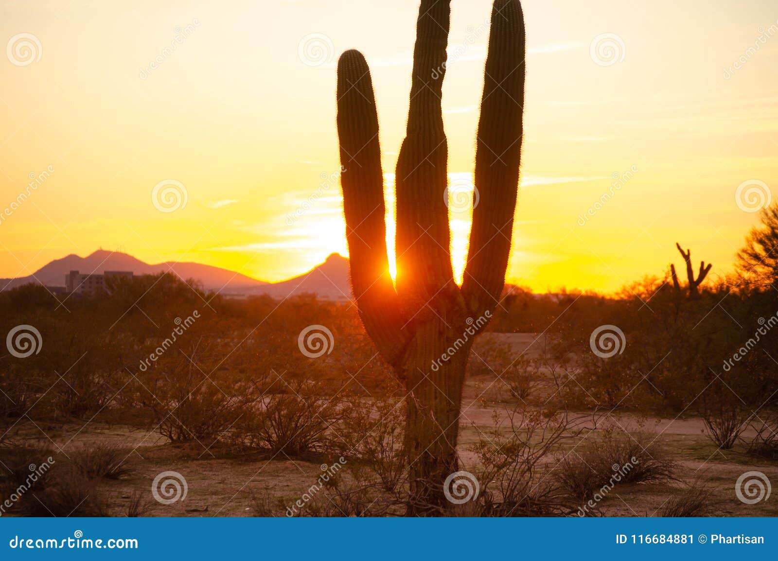 Beautiful Desert Sunset Landscape Stock Image - Image of beautiful ...