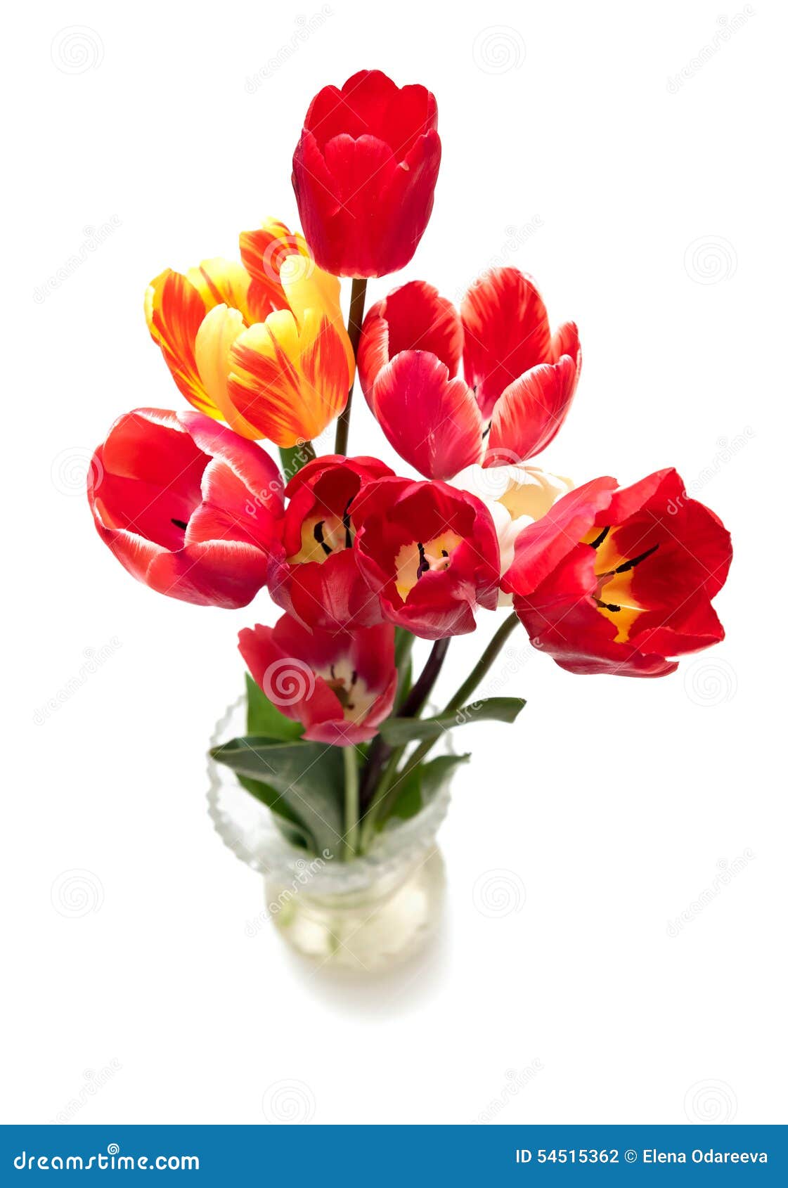 Beautiful Different Tulips in Vase Stock Photo Image of bouquet