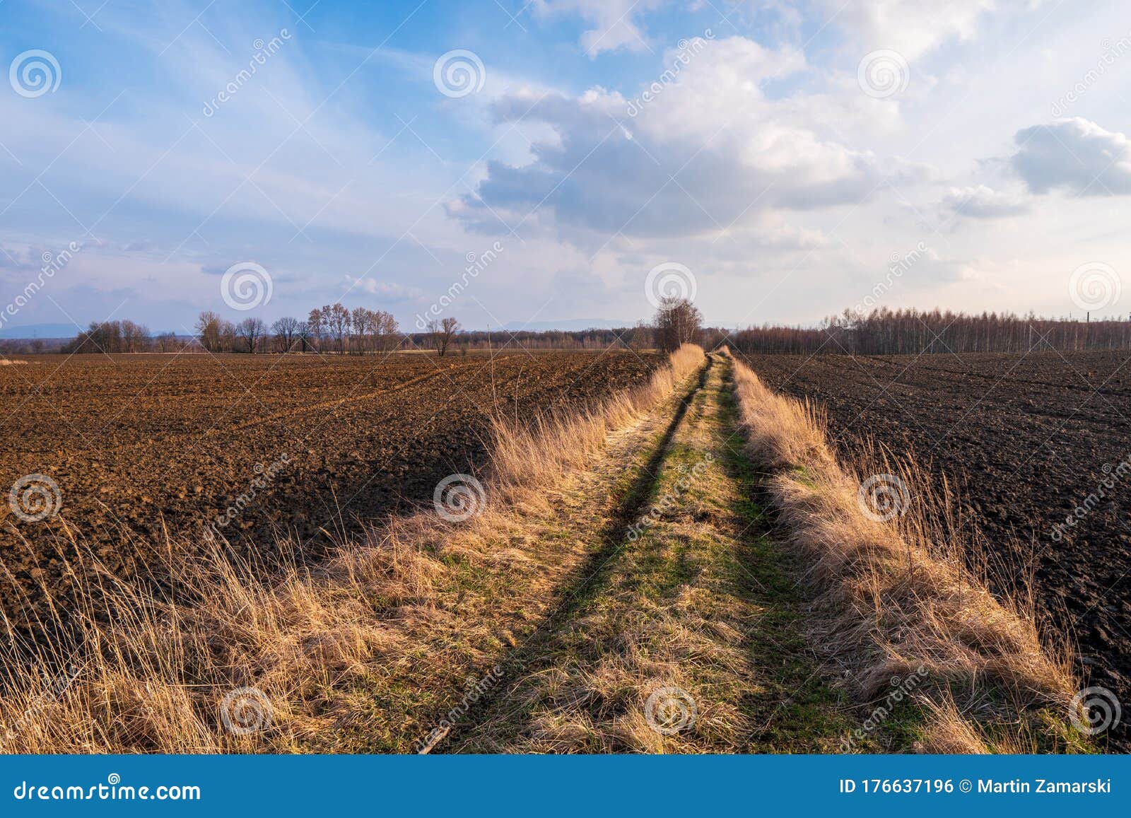 Beautiful Dirt Road in a Field that is Plowed, at Sunset with Trees in