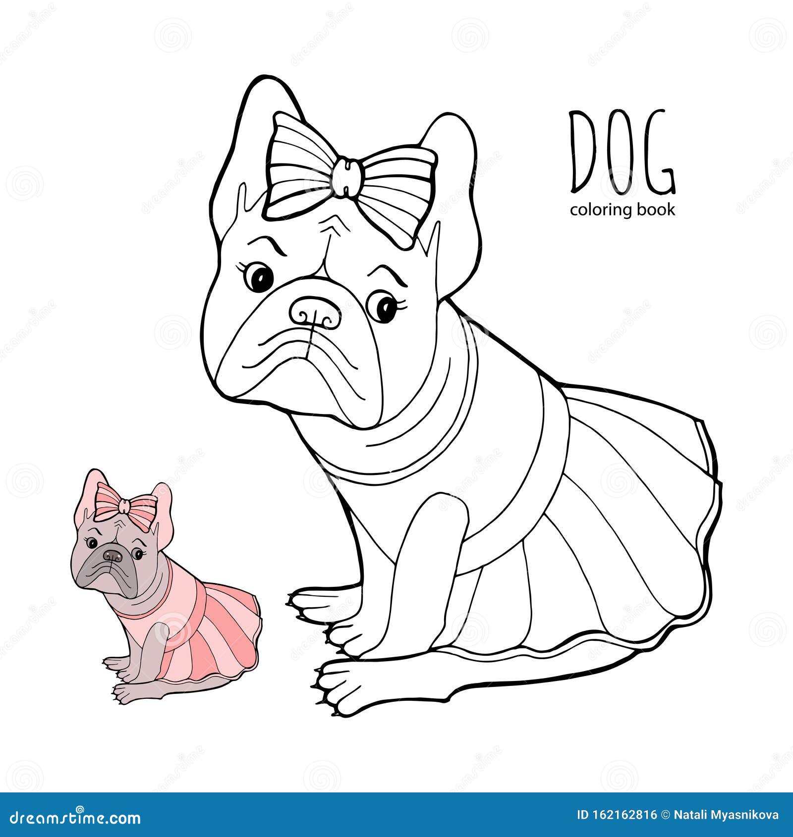 Download Beautiful Dog In A Dress And With A Bow Coloring Book Page Purebred Puppy French Bulldog Vector Illustration For A Stock Vector Illustration Of French Bulldog 162162816