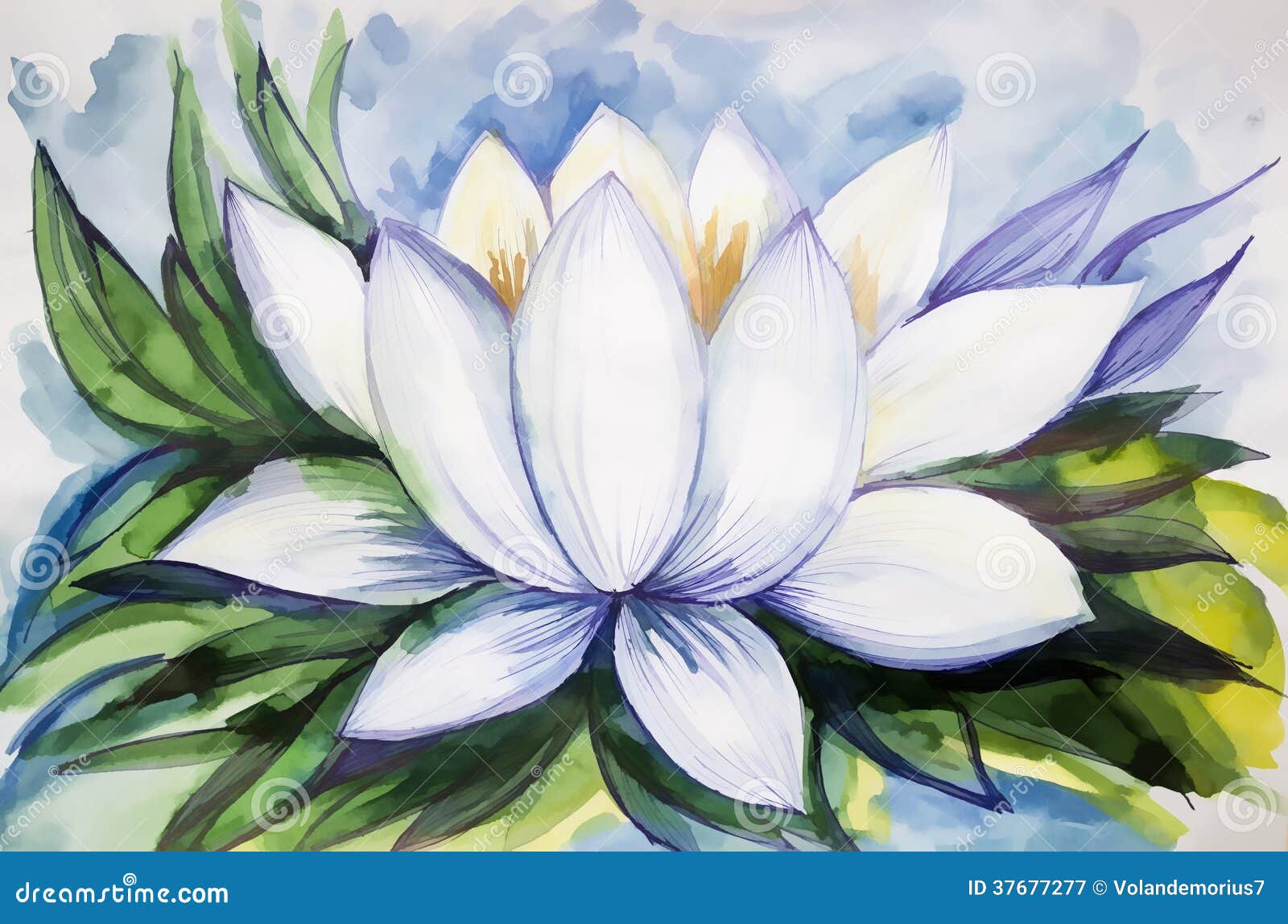 Beautiful Drawing Lotus Watercolor Paint Stock Illustration - Illustration  of blossom, leaf: 37677277