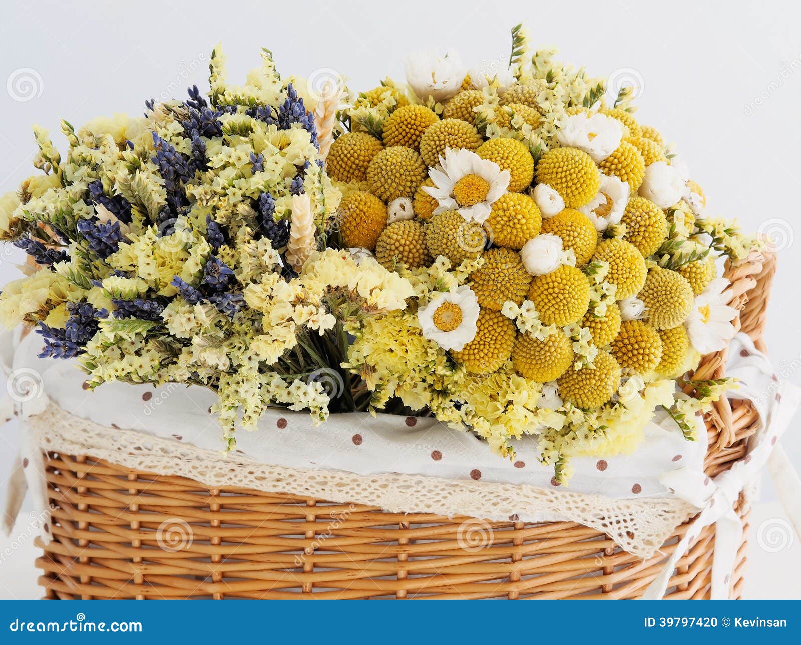 Beautiful dried flowers stock photo. Image of nature 39797420