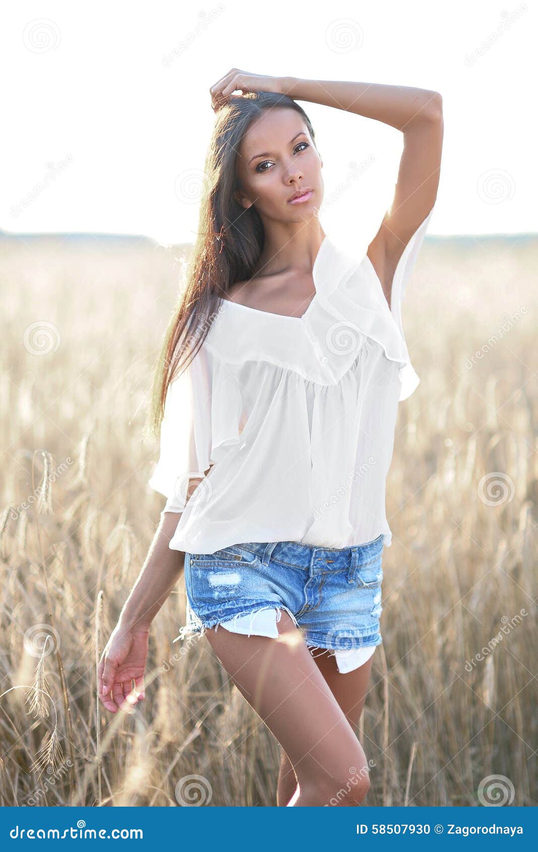 Beautiful Elegant Brunette Girl Stock Photo - Image of girl, attractive ...