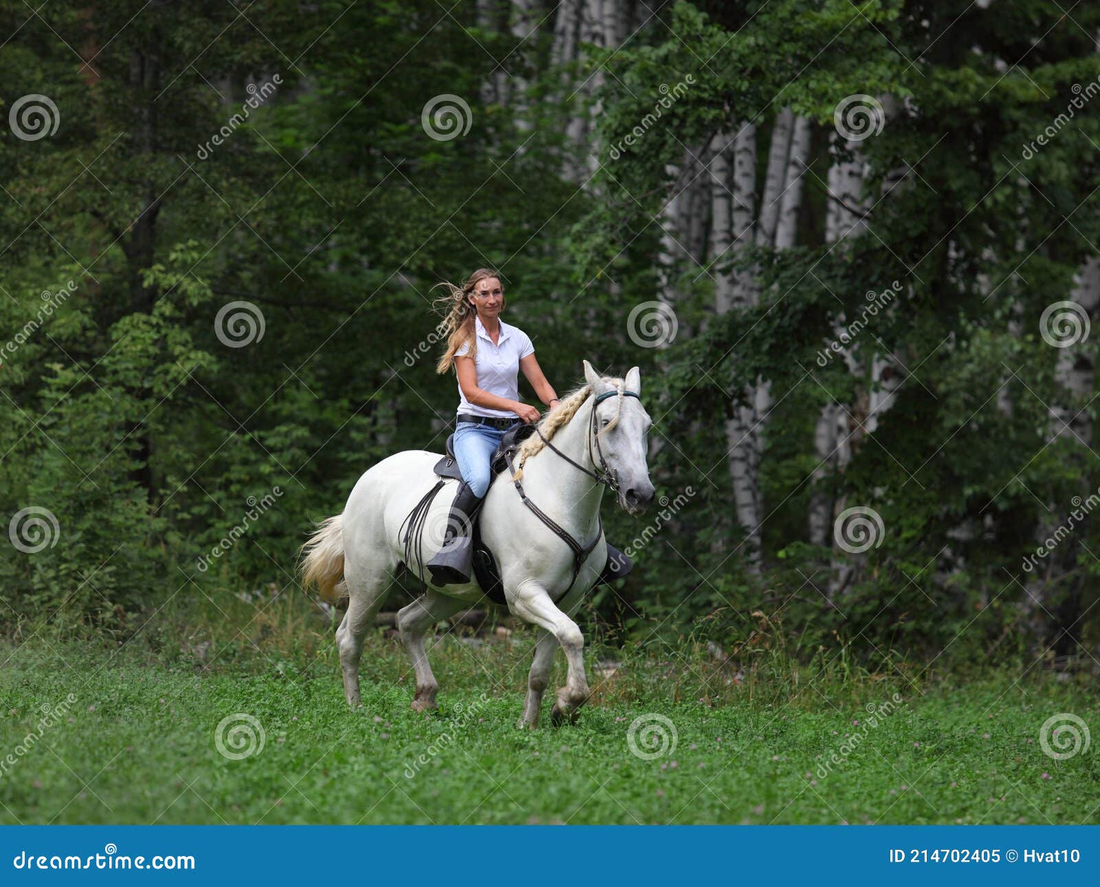 beautiful equestrian cowgirl riding a horse in the summer forest