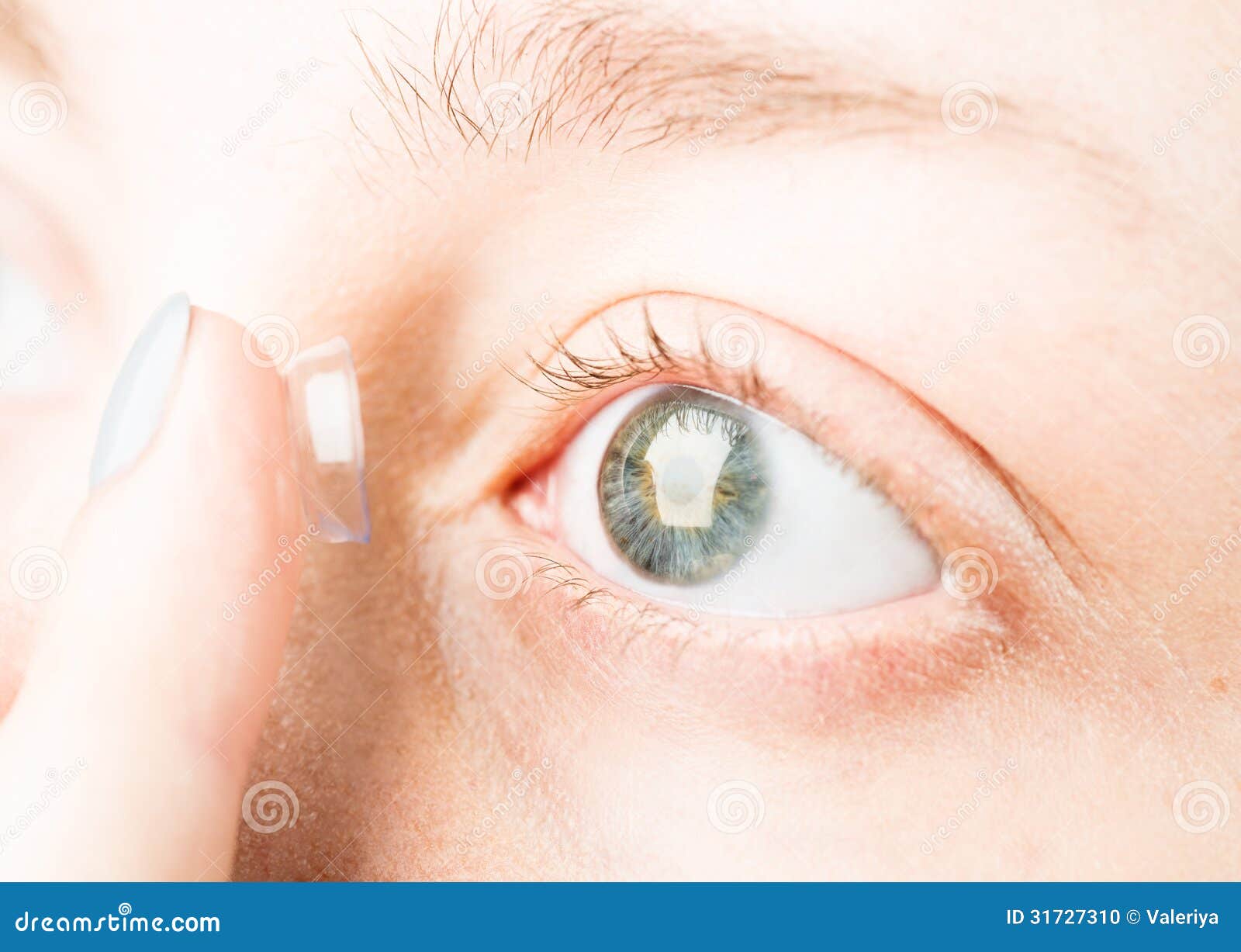 Beautiful Eye and Contact Lens Stock Photo Image of human, ophthalmology 31727310