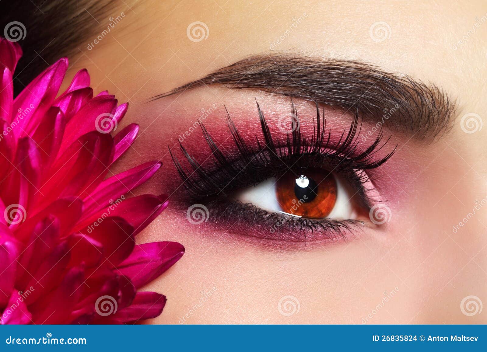 Beautiful Eye Makeup stock photo. Image of aster, eyebrow 26835824