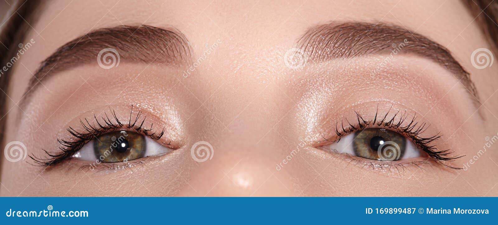 beautiful eye with perfect  eyebrows. clean skin, naturel make-up. good vision. permanent makeup on eye brows