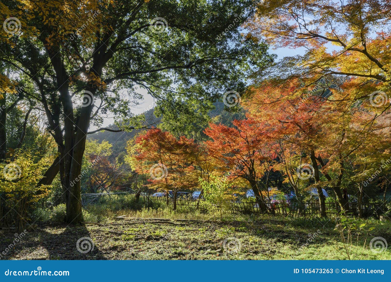 Beautiful Fall Color and Bishamondo Stock Image - Image of famous ...