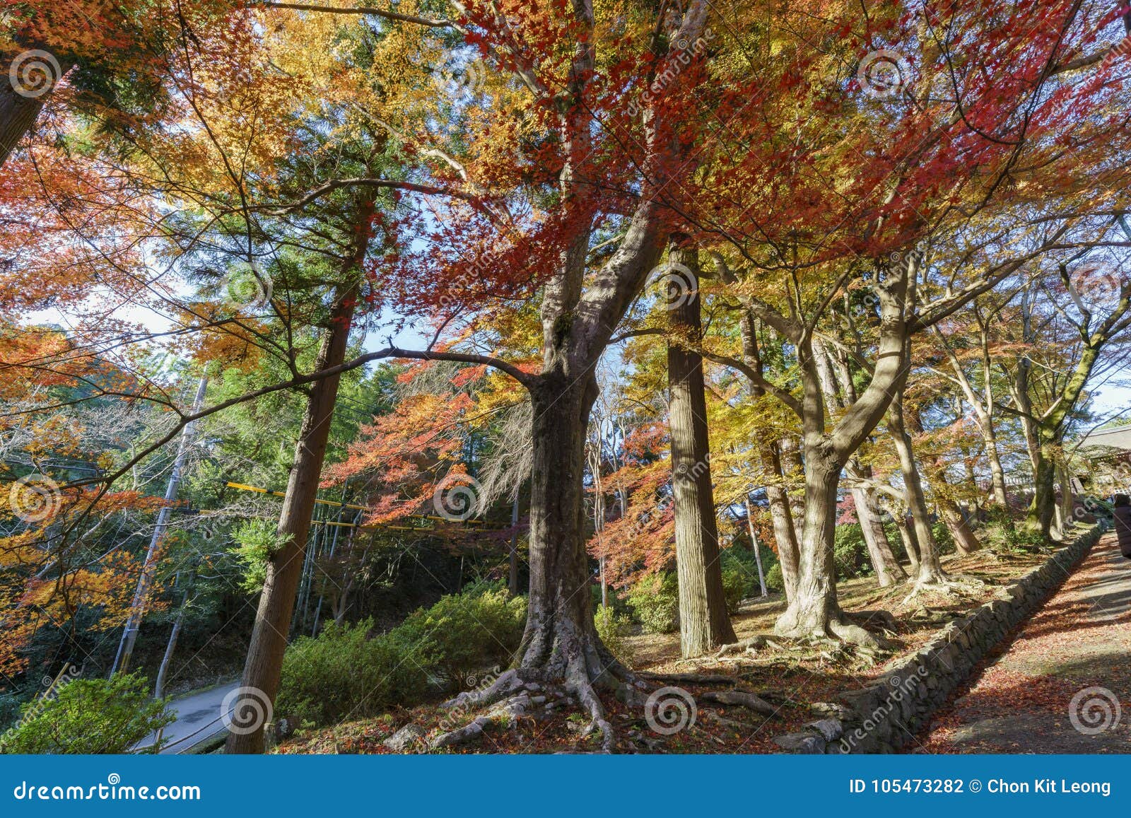 Beautiful Fall Color and Bishamondo Stock Photo - Image of kyoto ...