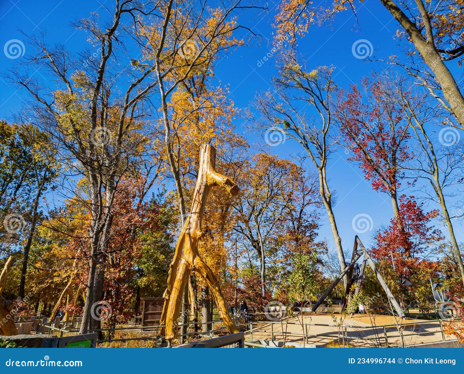 beautiful fall color of the gathering place