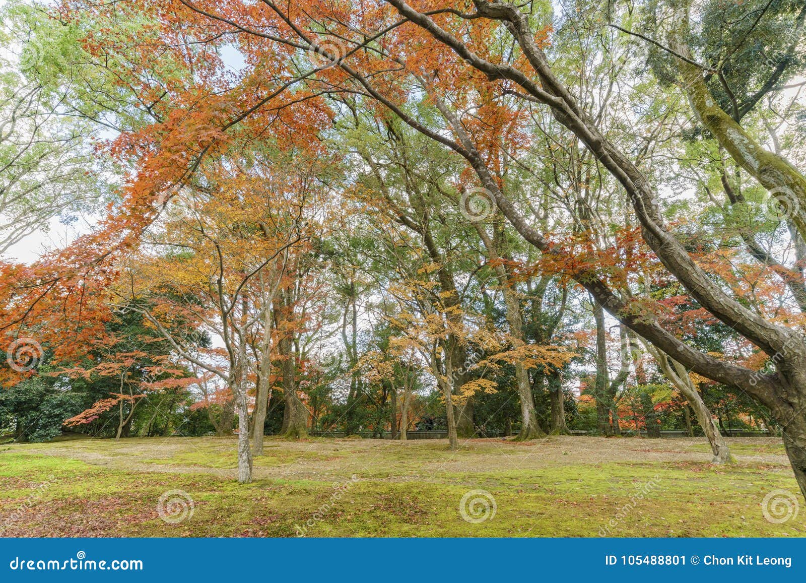 Beautiful Fall Color of Kinkaku-ji Stock Image - Image of rokuonji ...