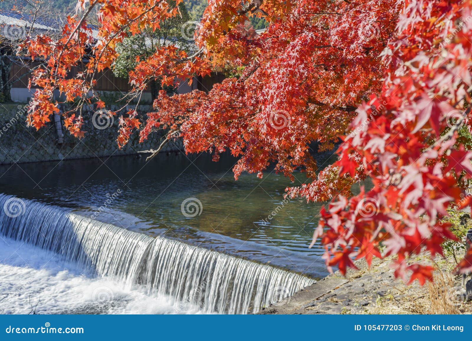 Beautiful Fall Color, River Near TogetuKyo Bridge Stock Image - Image ...