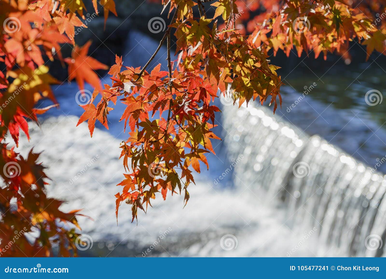 Beautiful Fall Color, River Near TogetuKyo Bridge Stock Image - Image ...