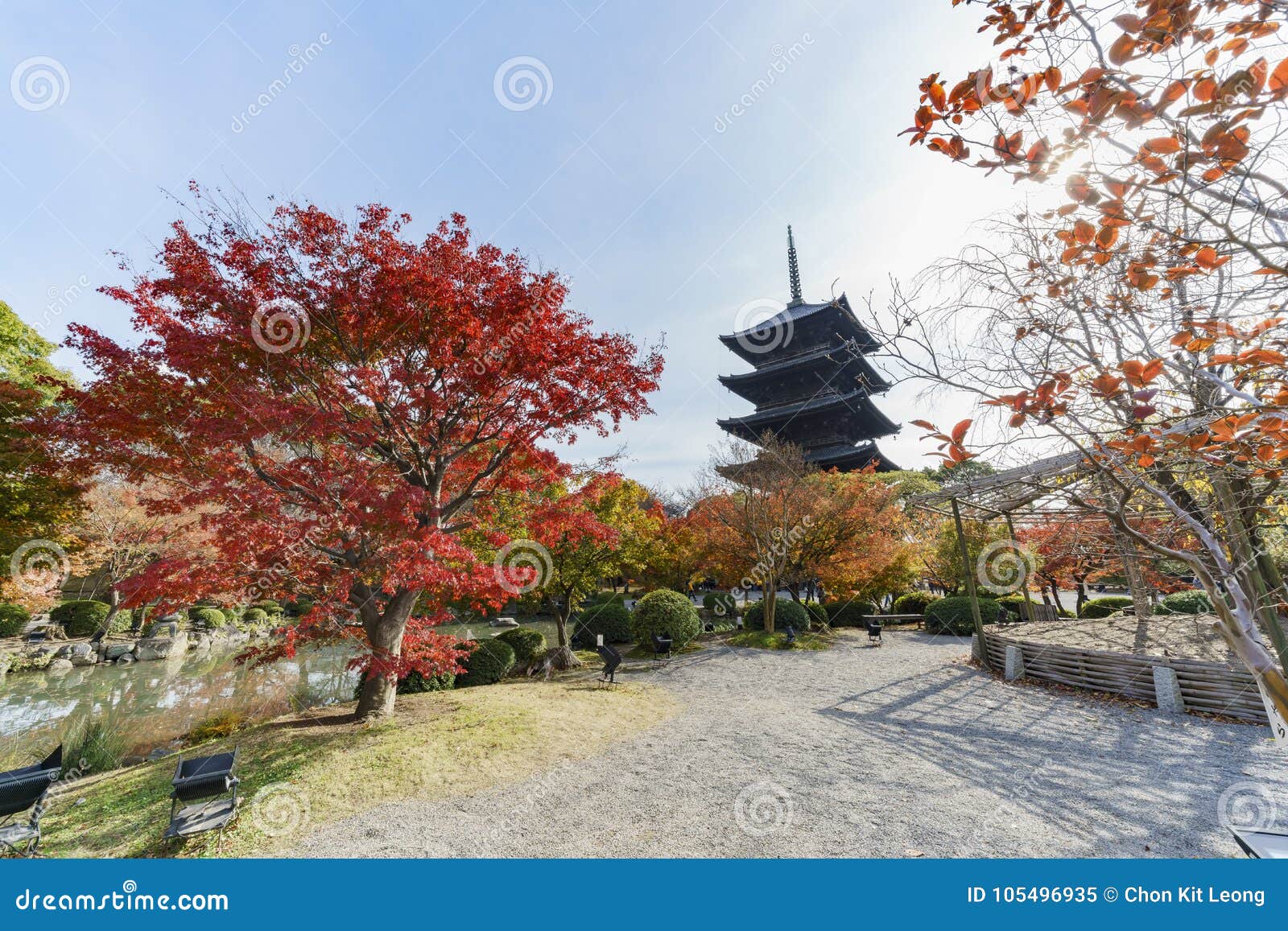 Beautiful Fall Color of To-ji Stock Image - Image of color, nation ...