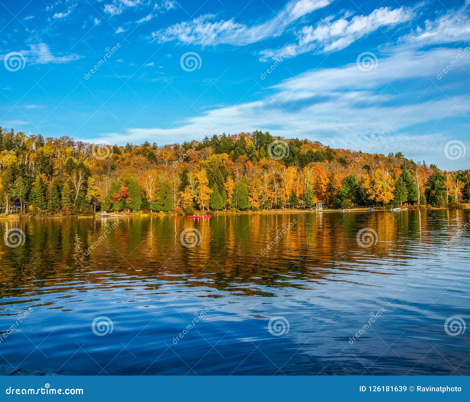 beautiful fall colors in algonquin provincial park, ontario, canada