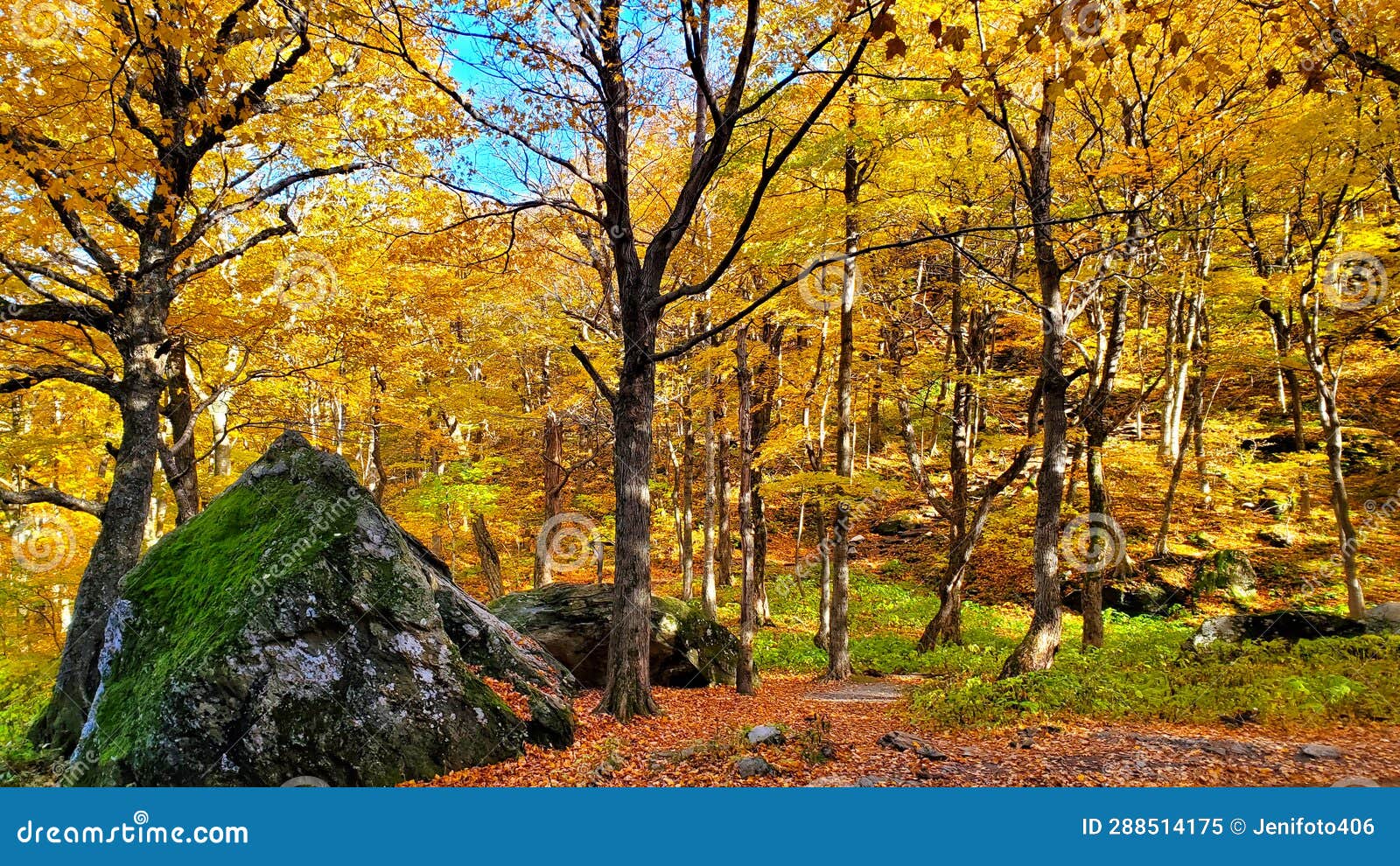 Beautiful Fall Colors of Smuggler S Notch, Vermont, USA Stock Image ...