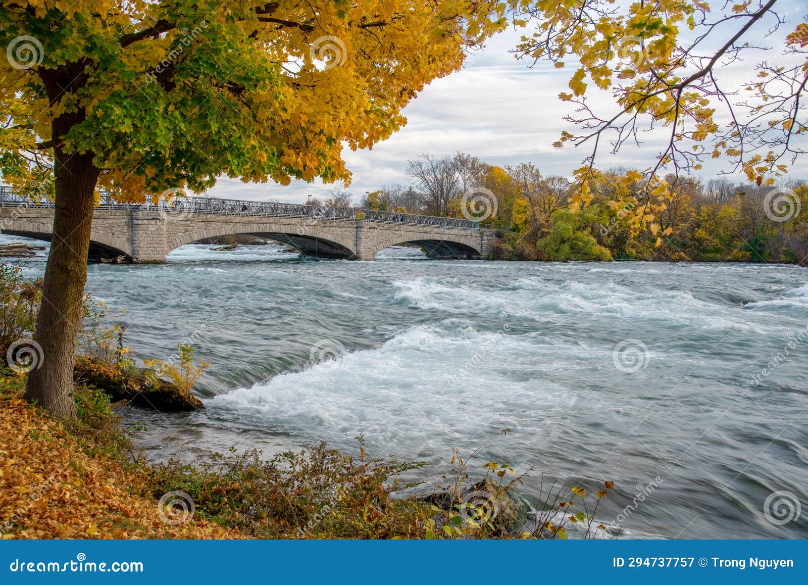 beautiful fall foliage autumn leaves with goat island bridge in niagara falls state park, upstream of niagara falls waterfall at