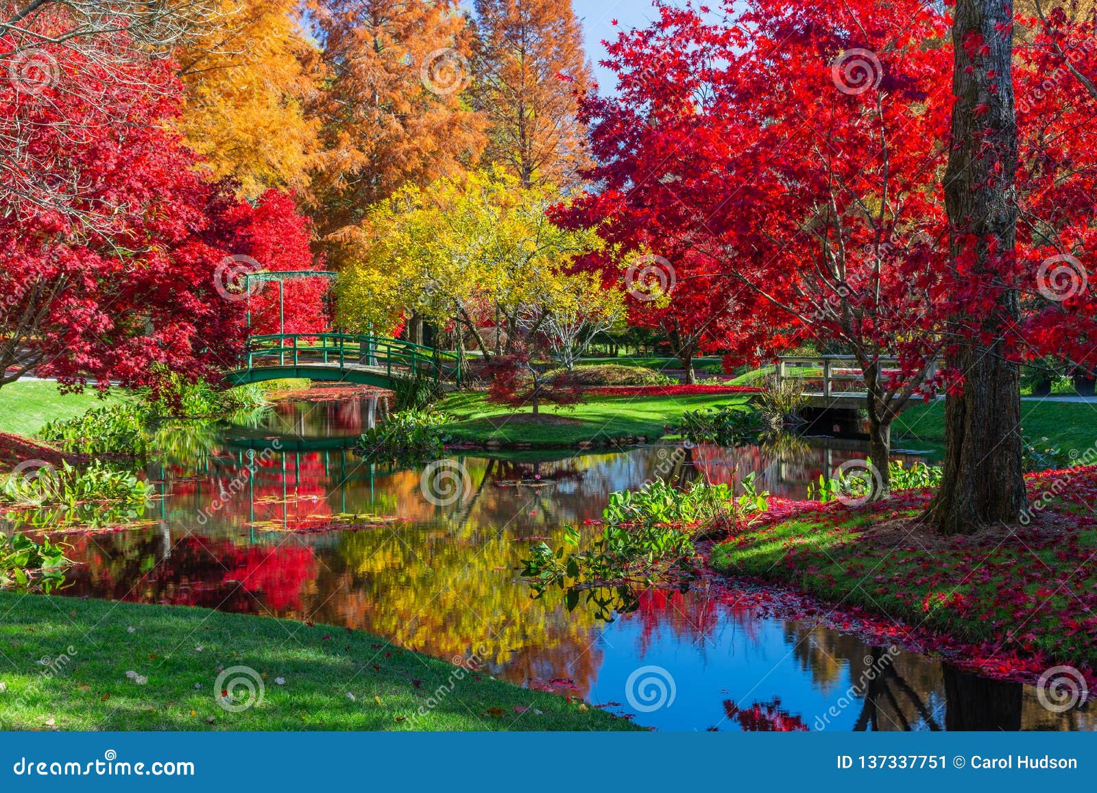 Beautiful Fall Foliage At Japanese Gardens In Georgia Stock Image