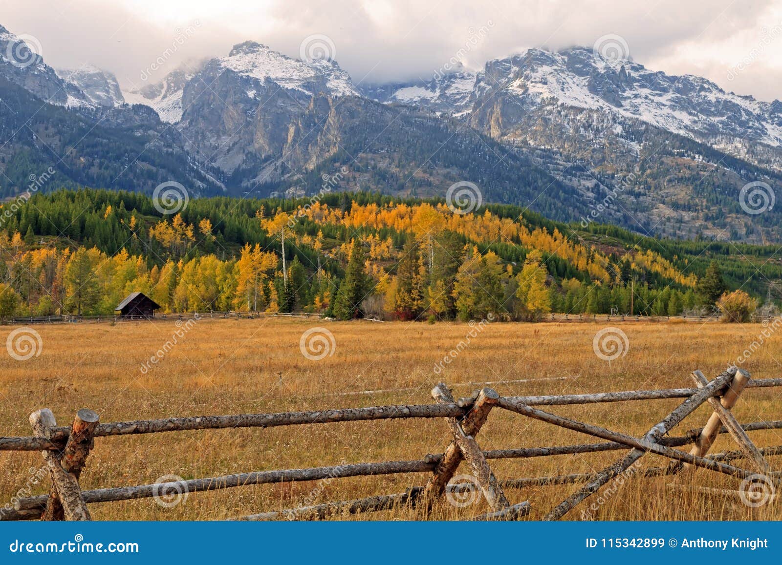 Teton Valley in the Fall stock image. Image of wyoming 115342899